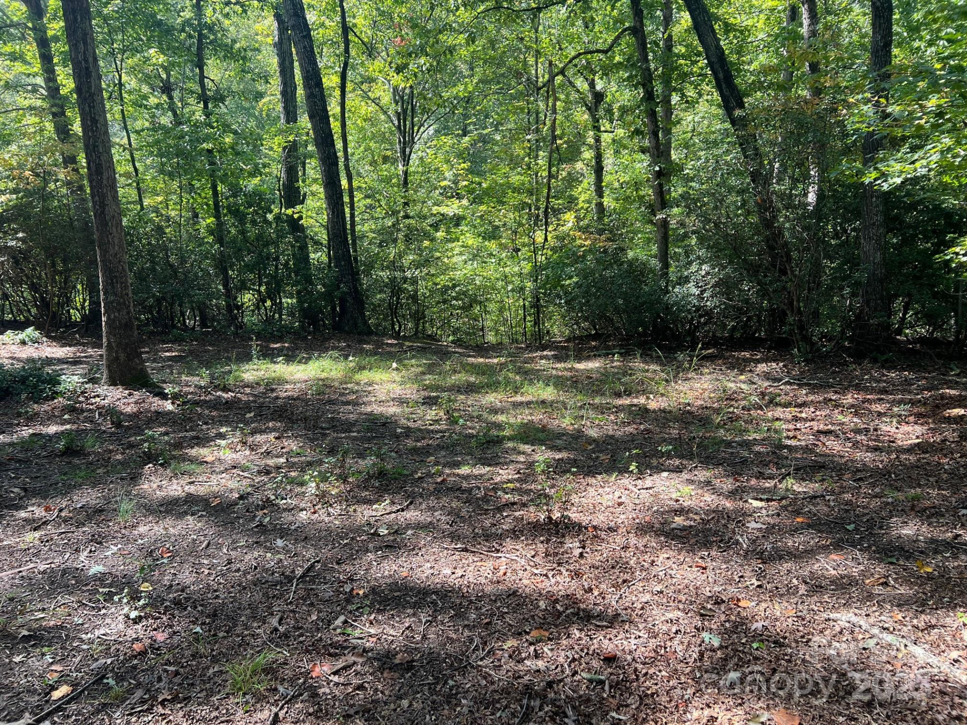 TBD Blue Horse Lane - Photo 9