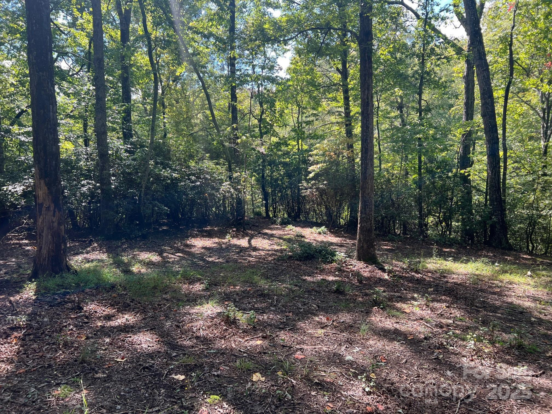 TBD Blue Horse Lane - Photo 10