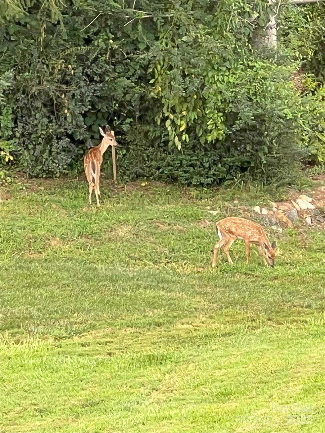 57 Union Chapel Road - Photo 43