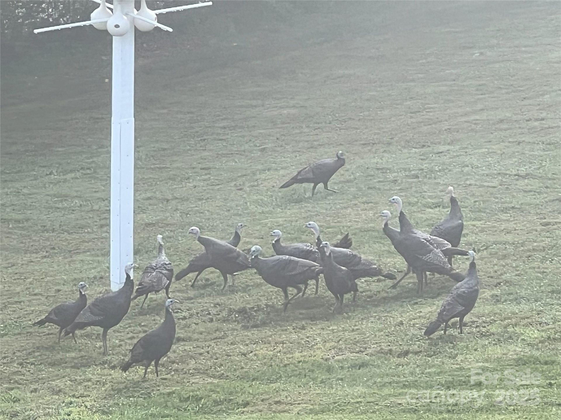 57 Union Chapel Road - Photo 44