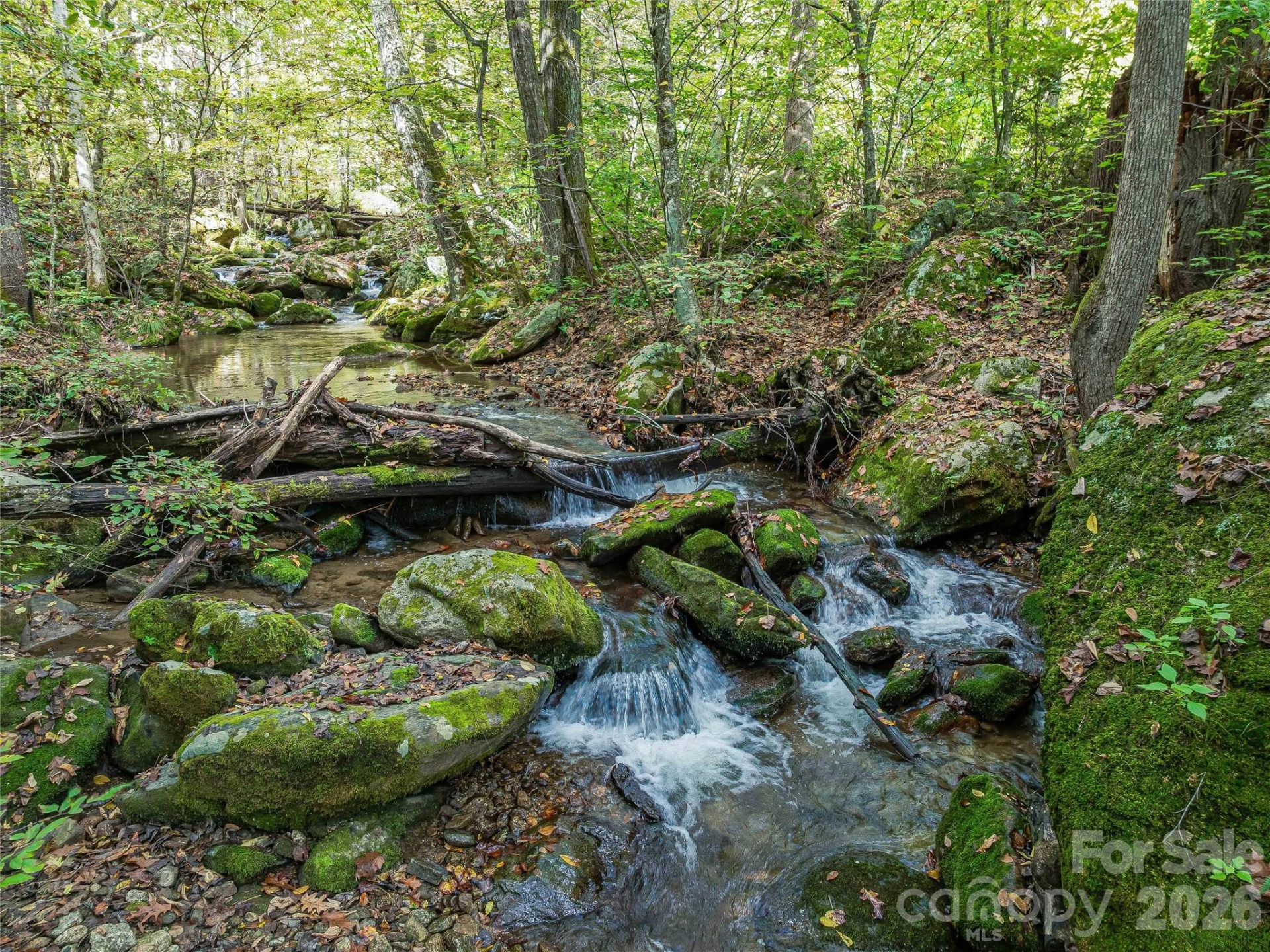 945 Roaring Fork Road - Photo 3