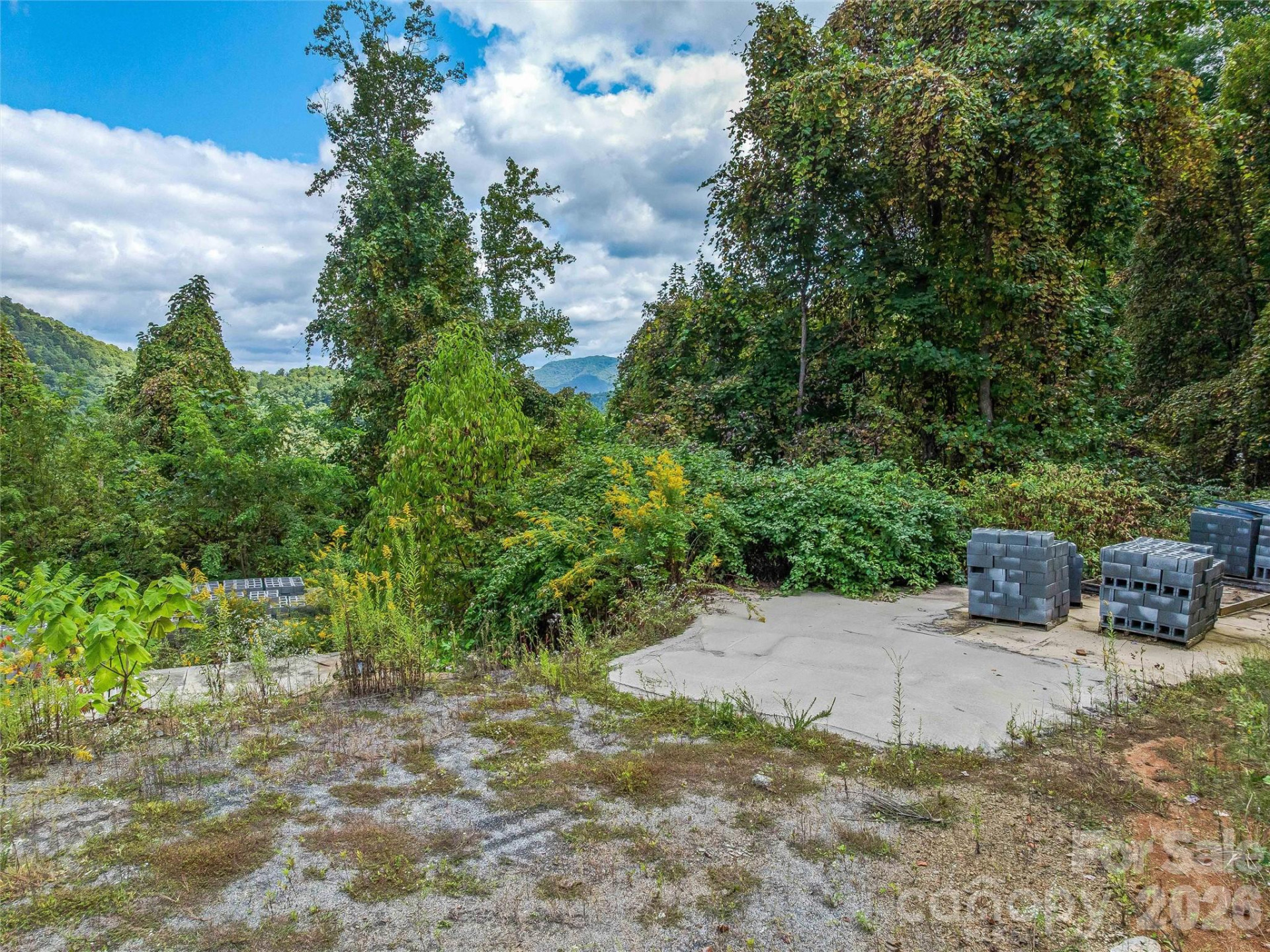 945 Roaring Fork Road - Photo 81