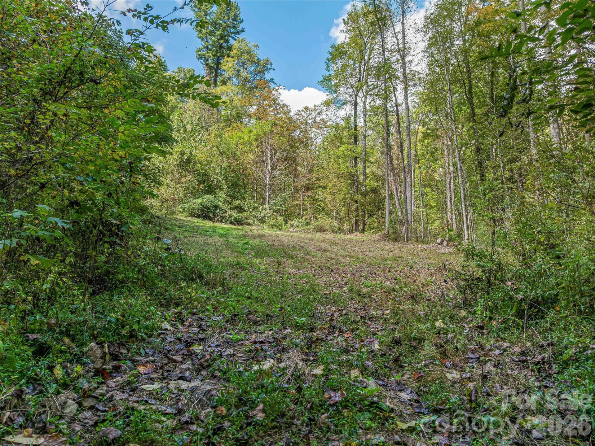945 Roaring Fork Road - Photo 83