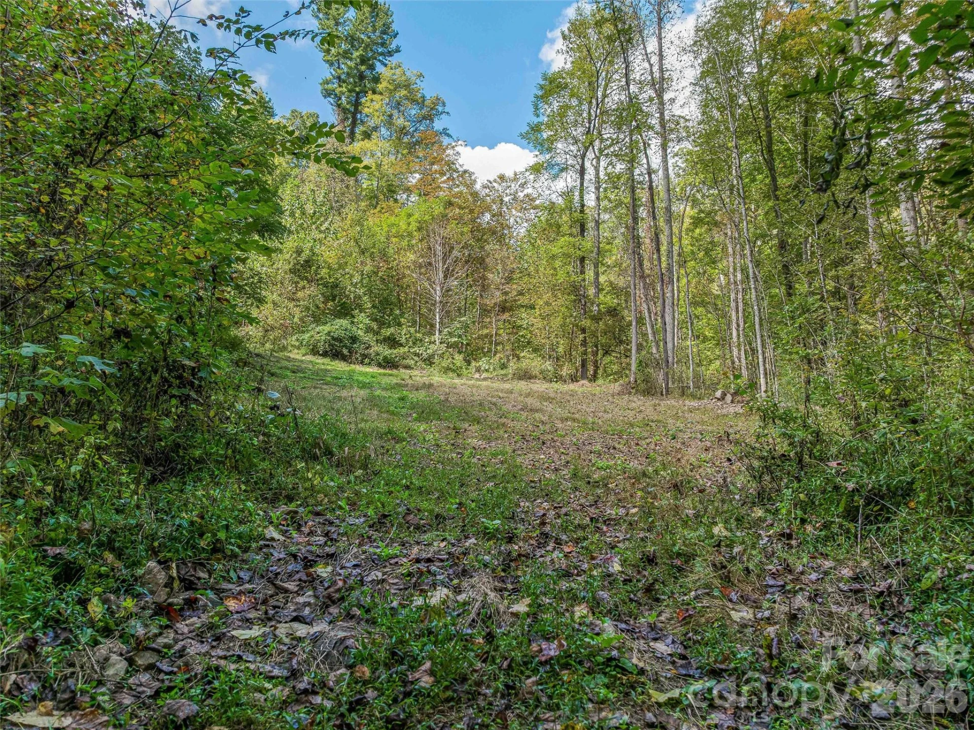 945 Roaring Fork Road - Photo 86