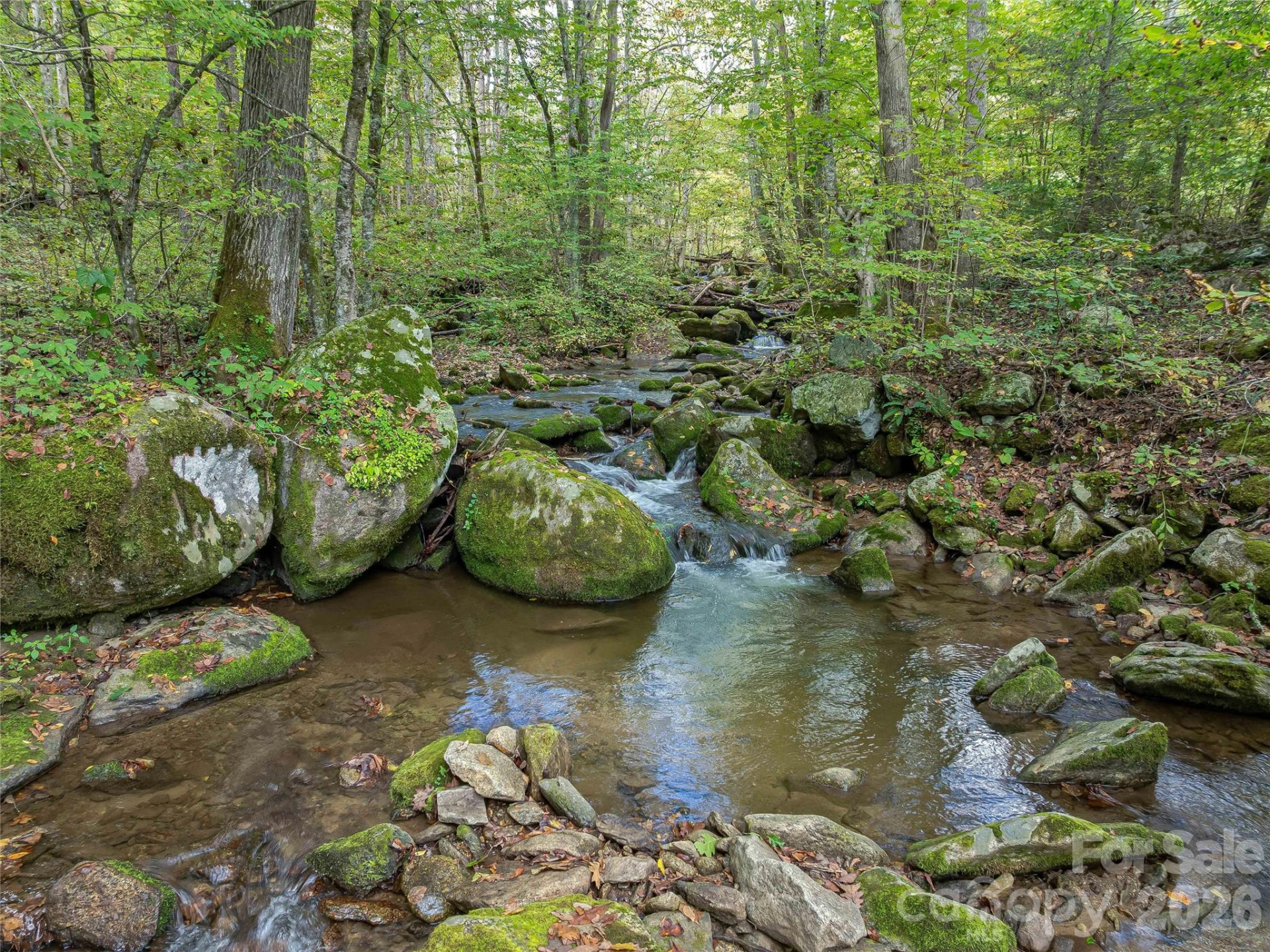 945 Roaring Fork Road - Photo 85