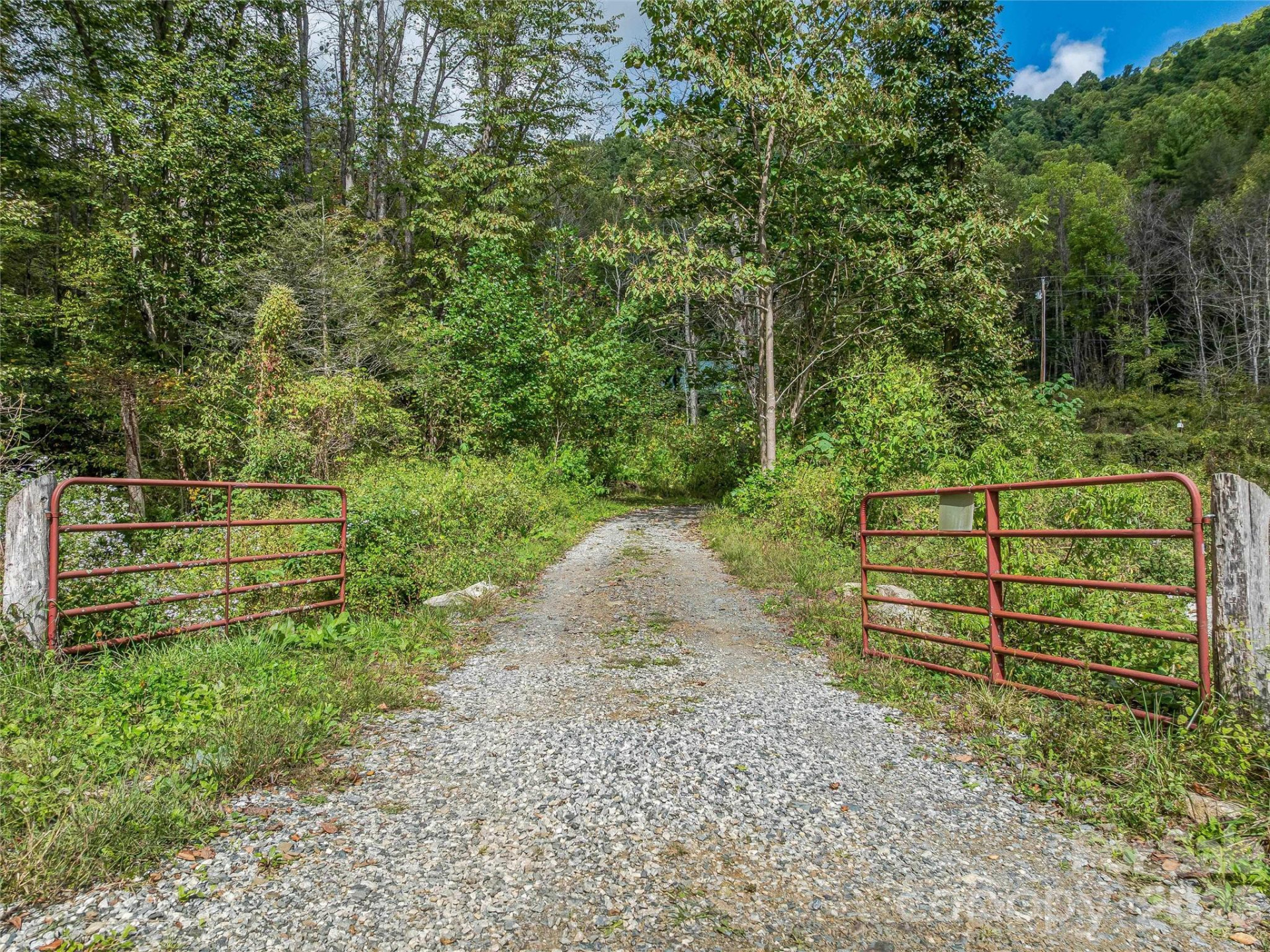 945 Roaring Fork Road - Photo 87