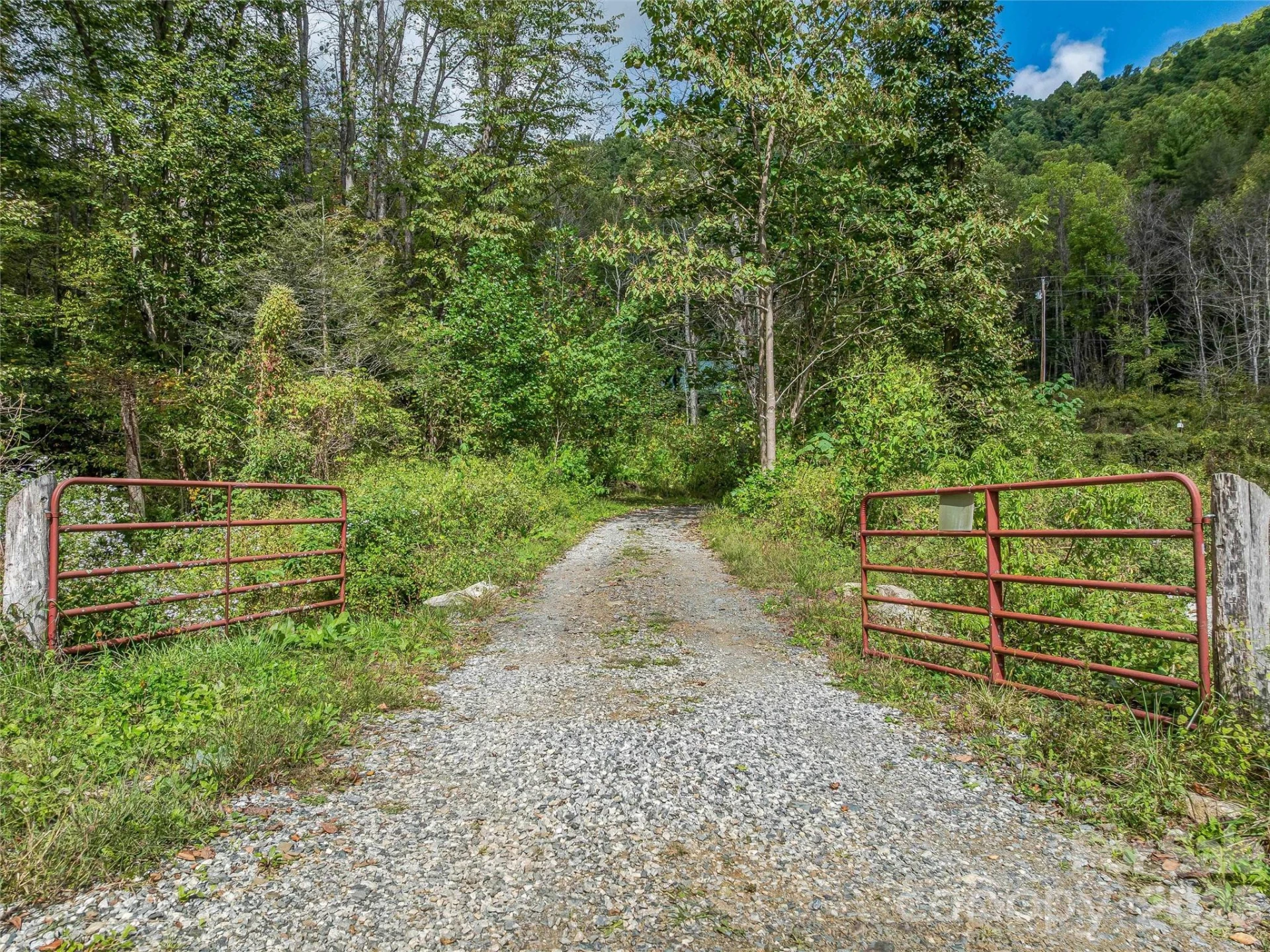945 Roaring Fork Road - Photo 90