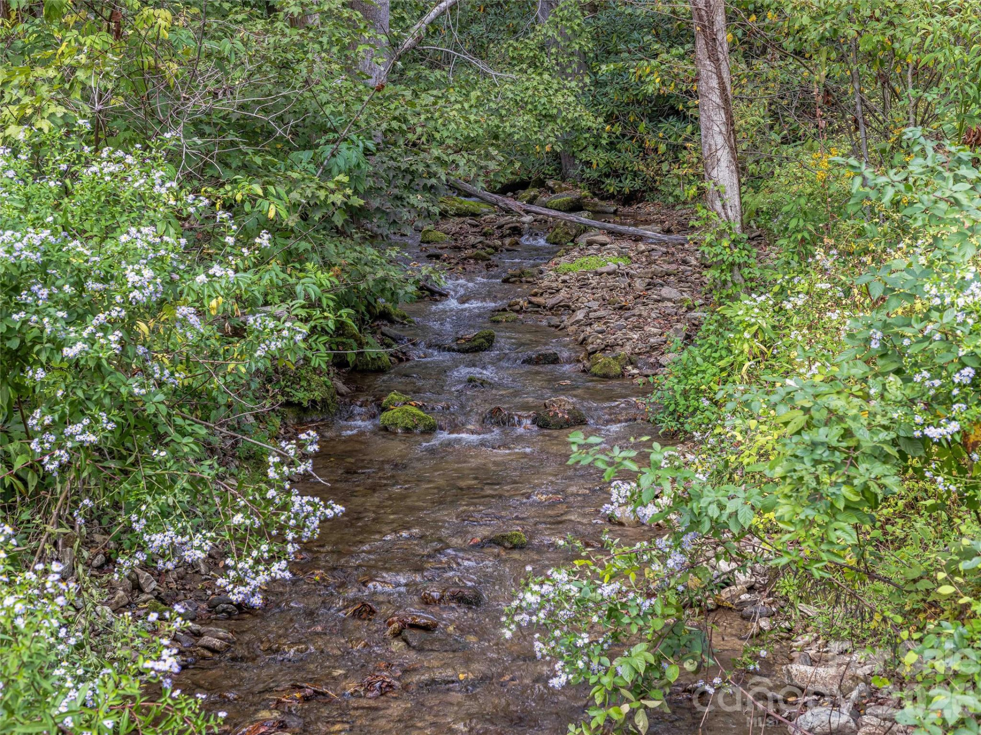 945 Roaring Fork Road - Photo 89