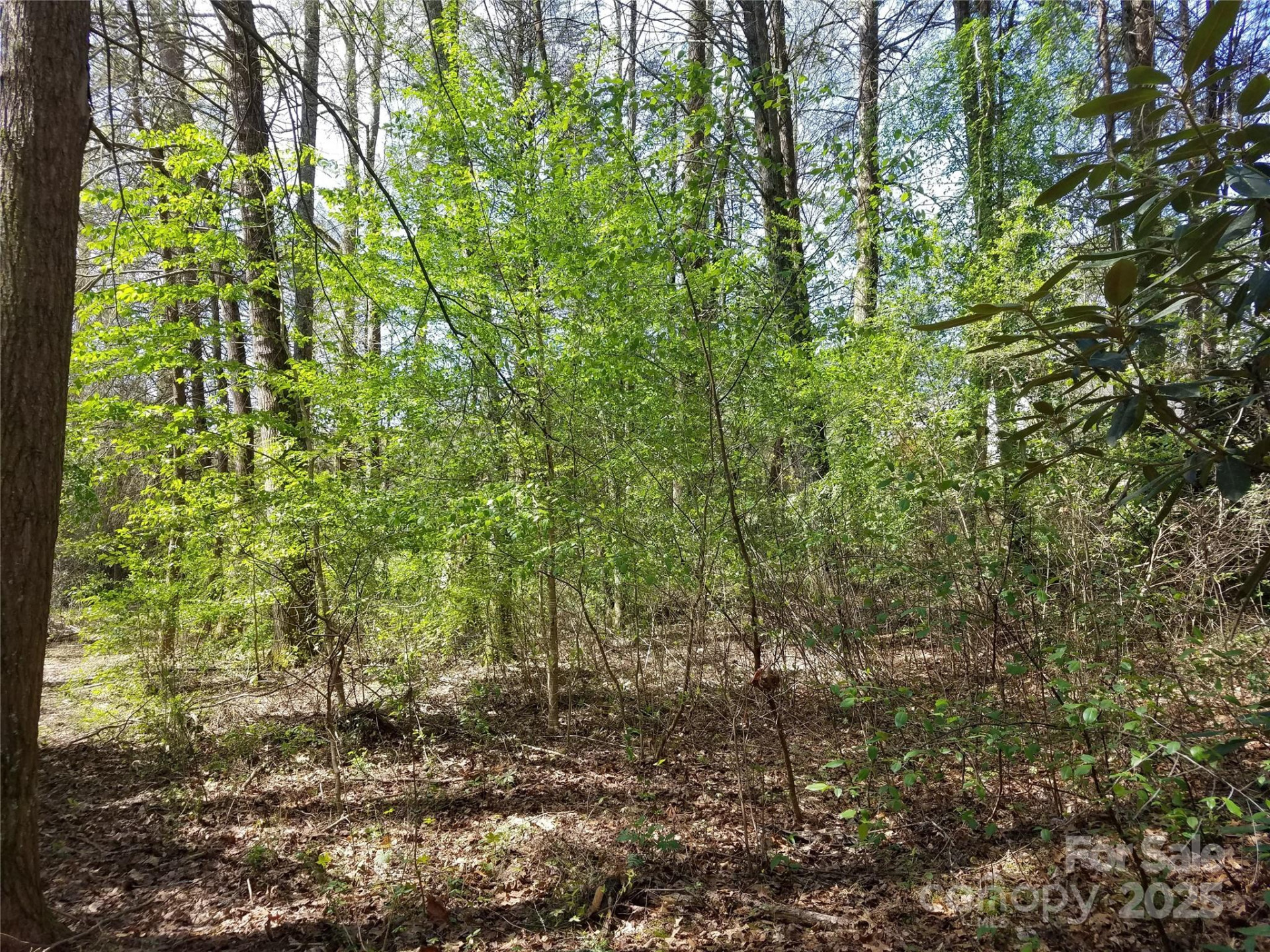 193 Ansel Way - Photo 2
