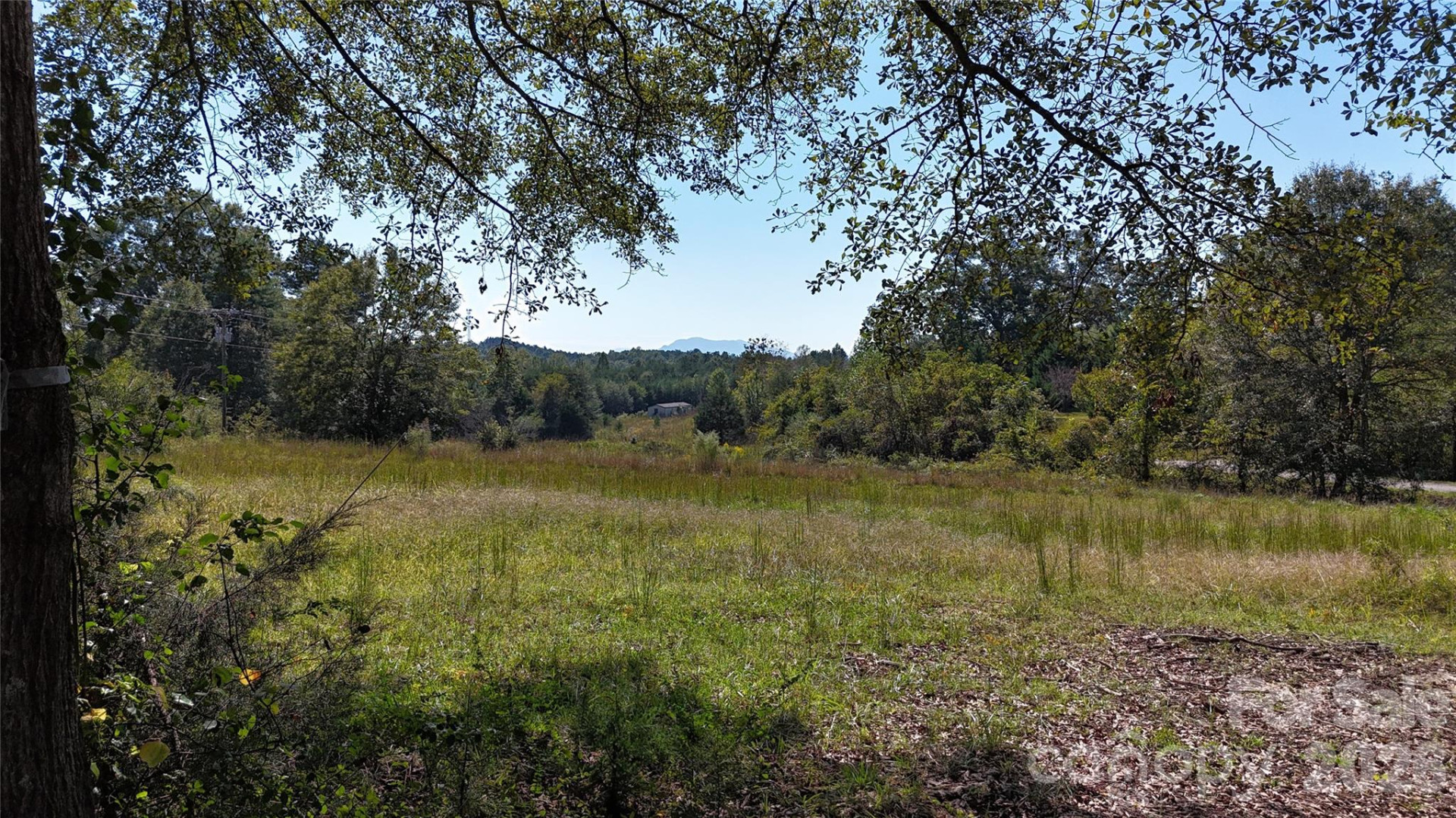 949 Cove Road - Photo 6