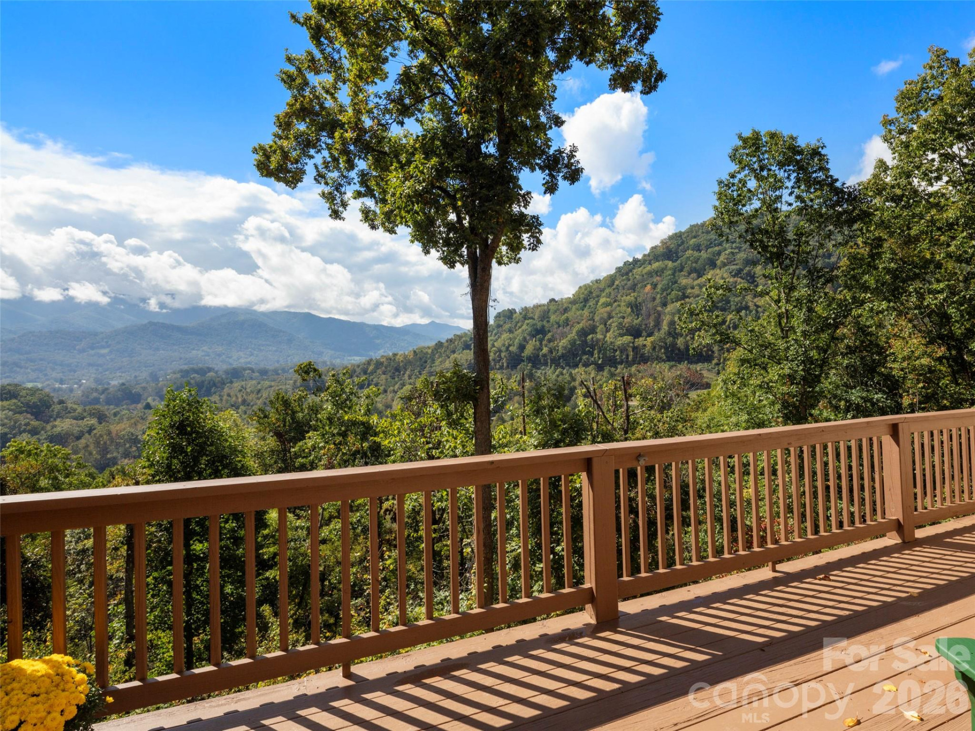 88 Brown Bear Way - Photo 2