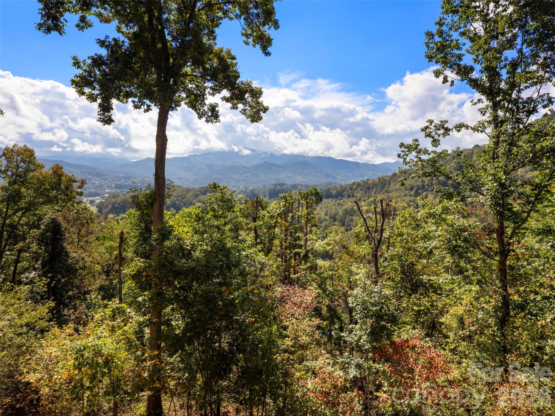 88 Brown Bear Way - Photo 22