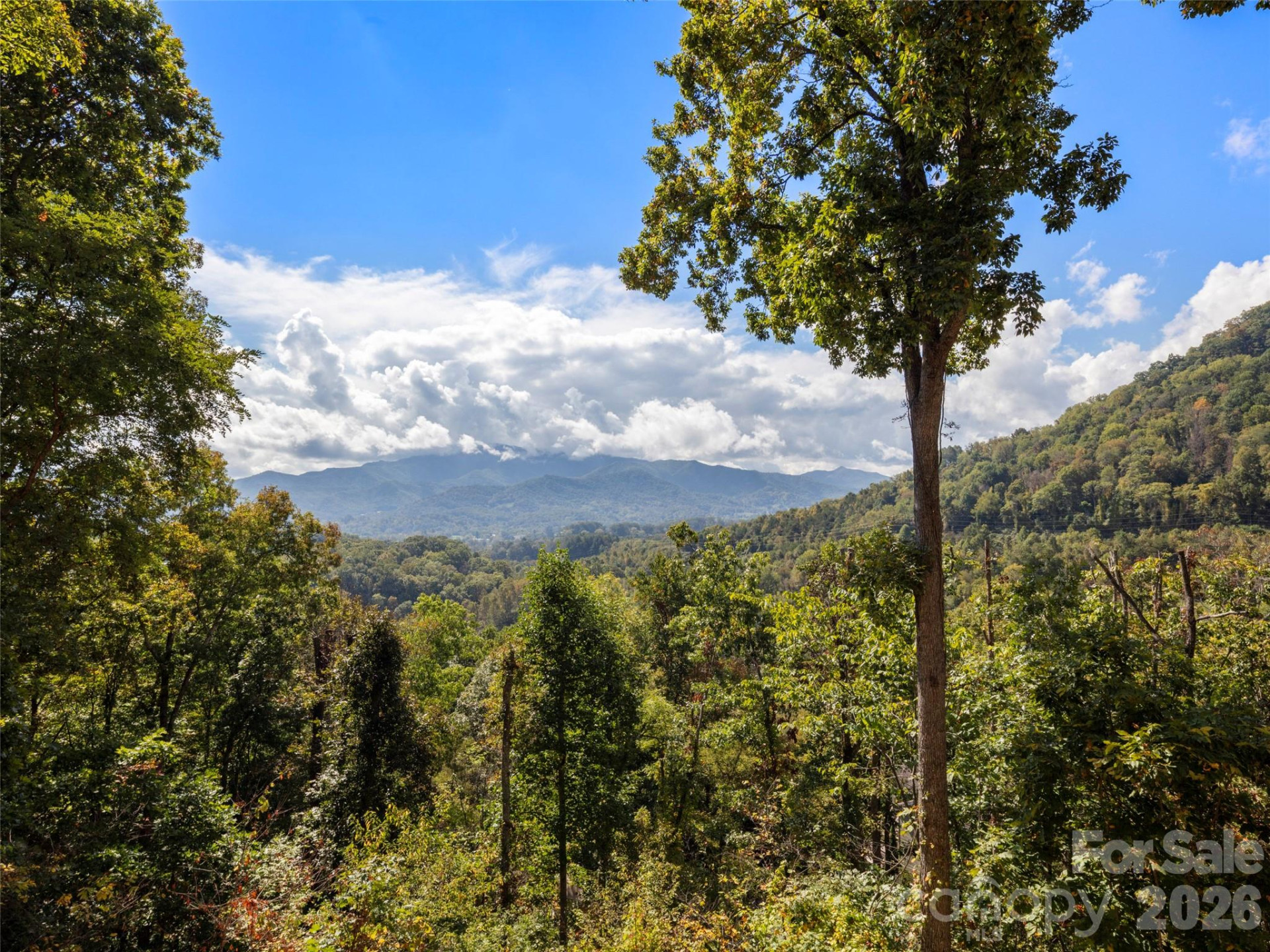 88 Brown Bear Way - Photo 44