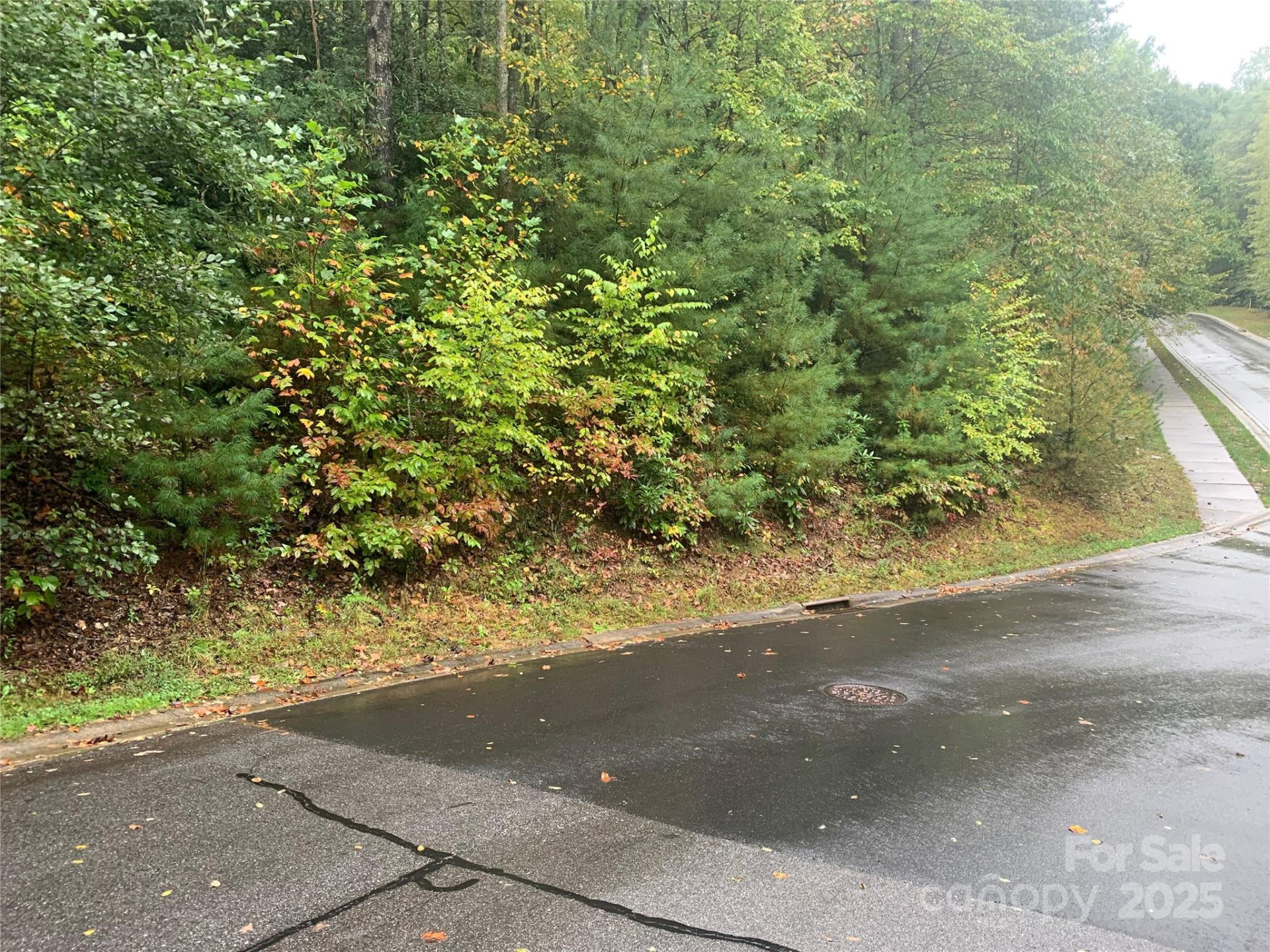 208 Settings Boulevard #248