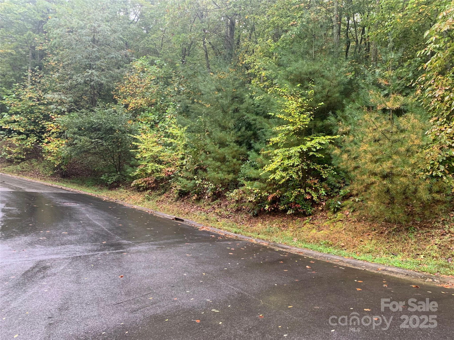 208 Settings Boulevard #248 - Photo 2