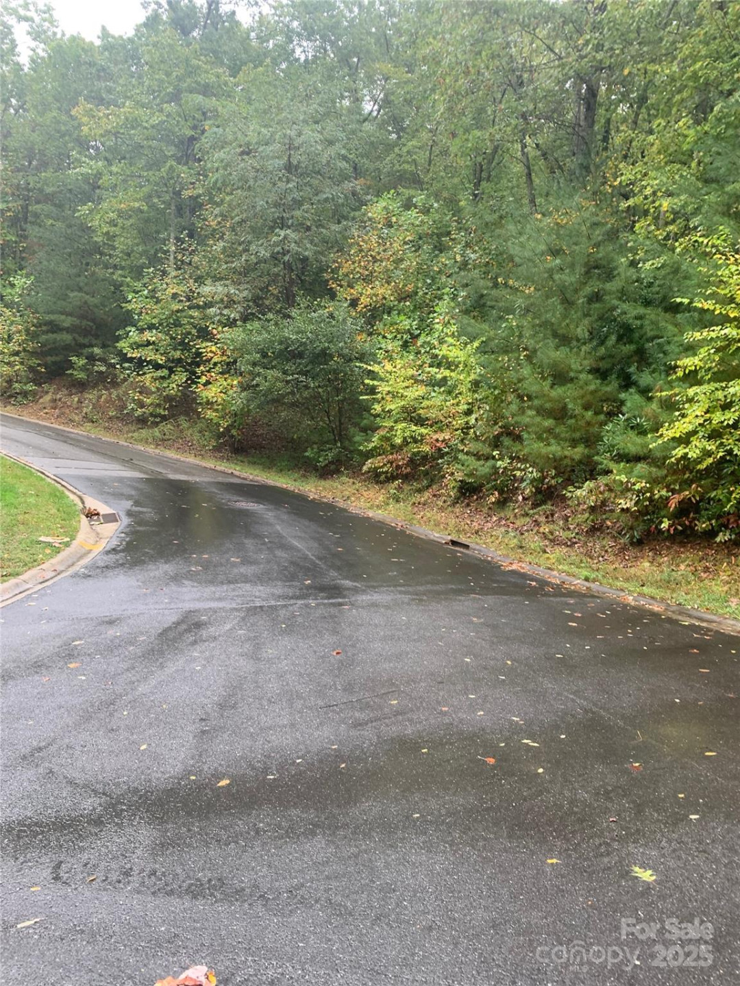 208 Settings Boulevard #248 - Photo 3