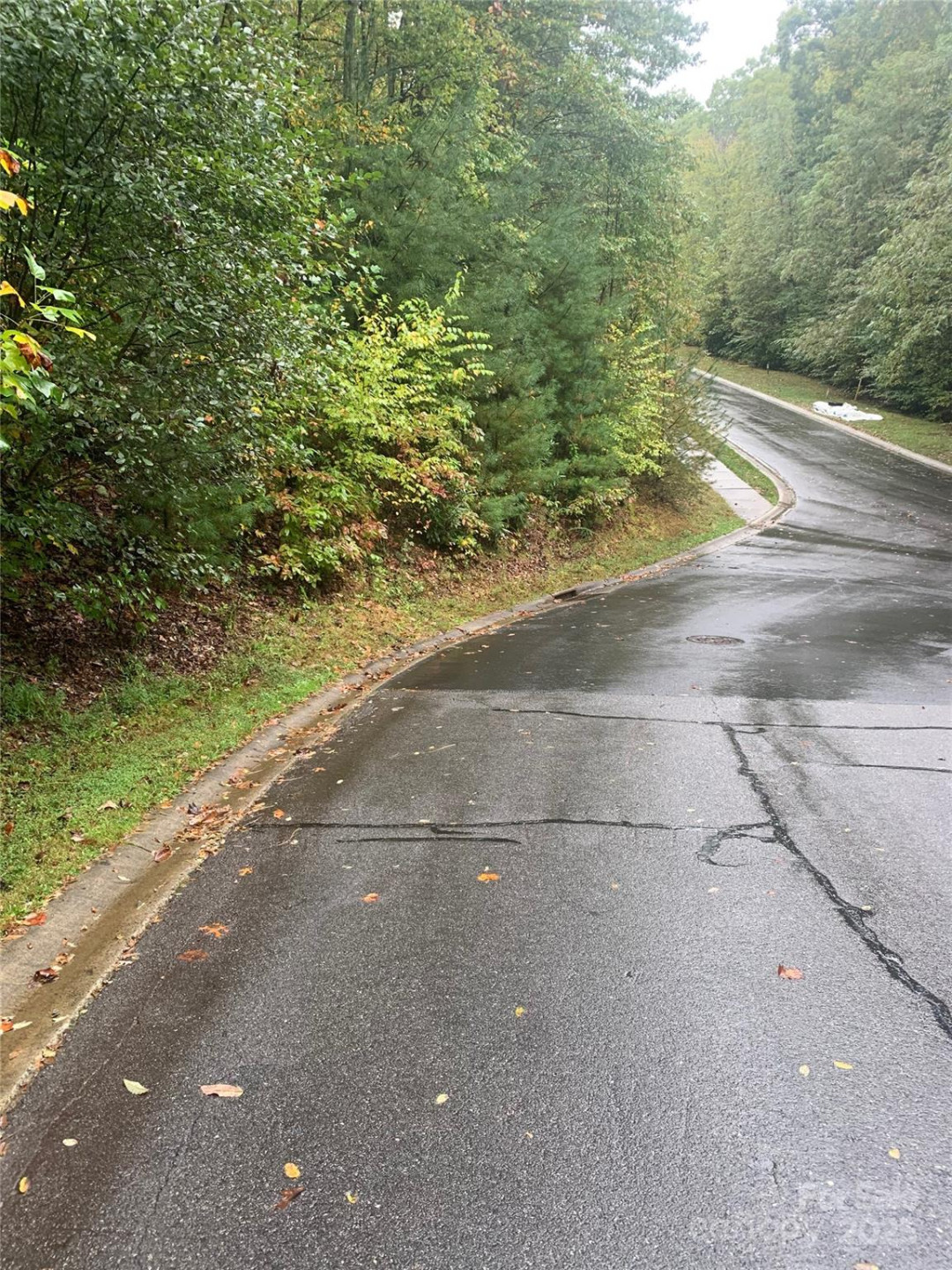 208 Settings Boulevard #248 - Photo 5