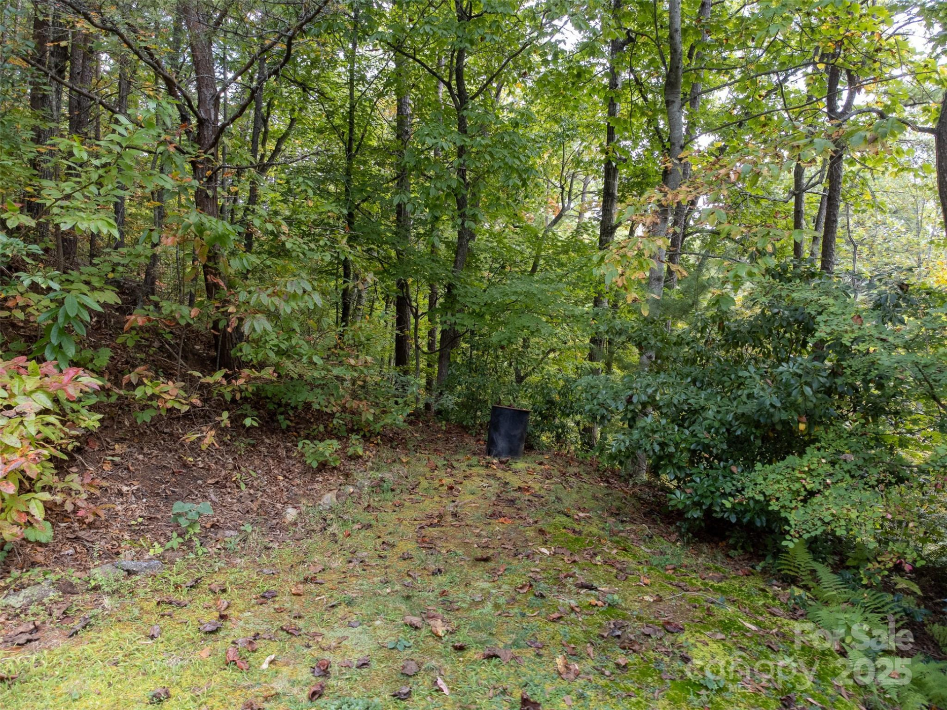 365 Duckback Trail - Photo 35