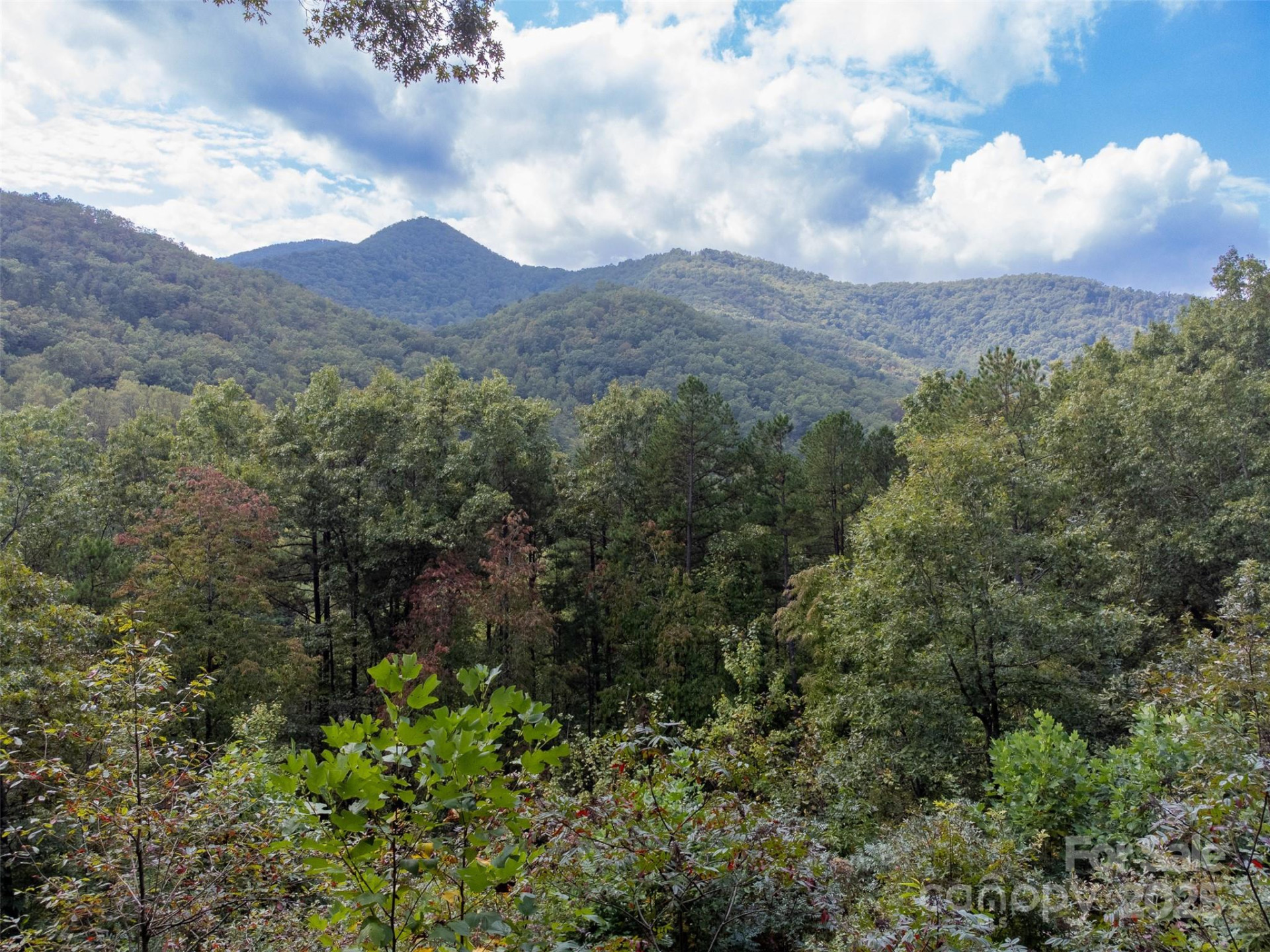 365 Duckback Trail - Photo 38