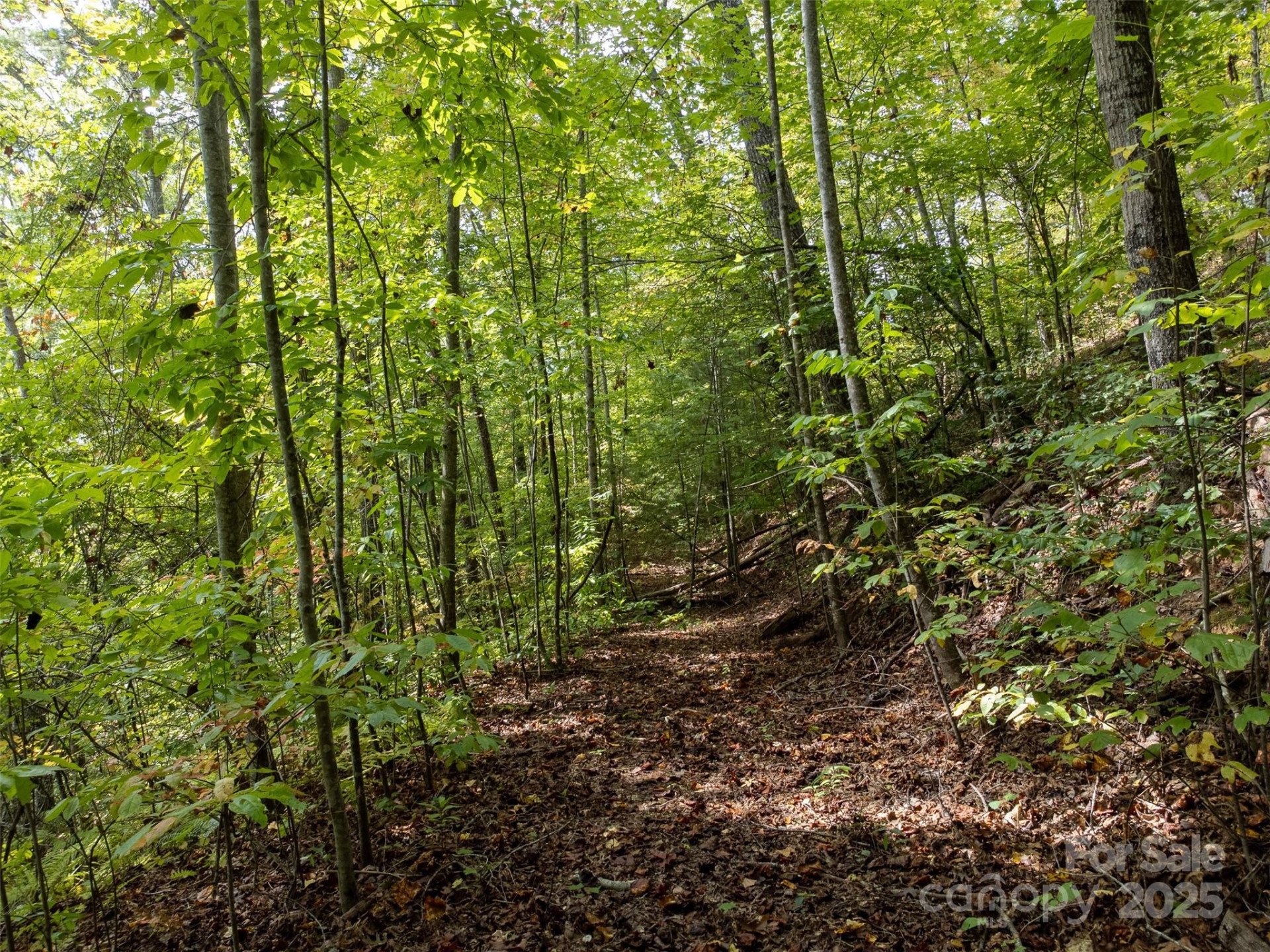 365 Duckback Trail - Photo 42