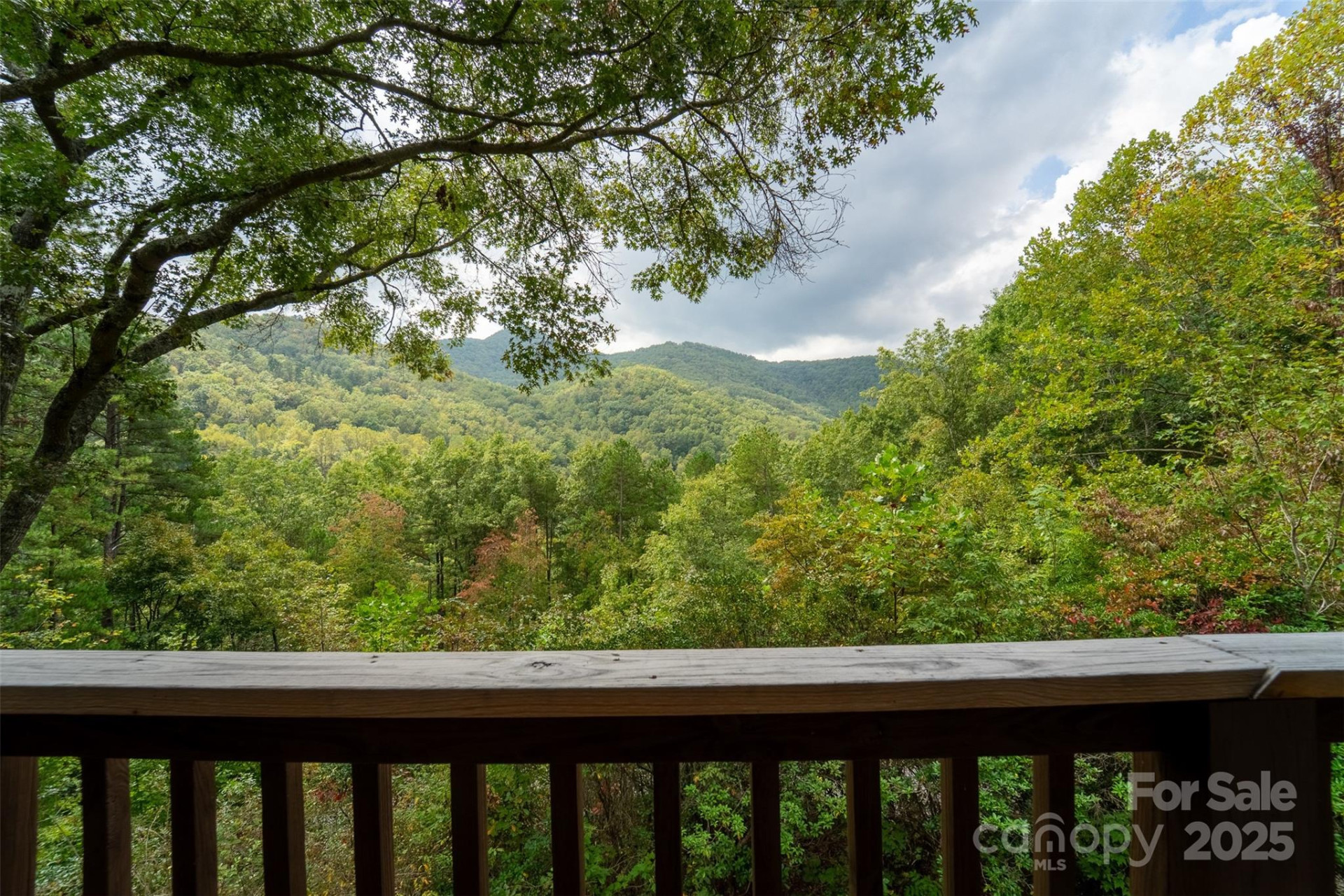 365 Duckback Trail - Photo 45