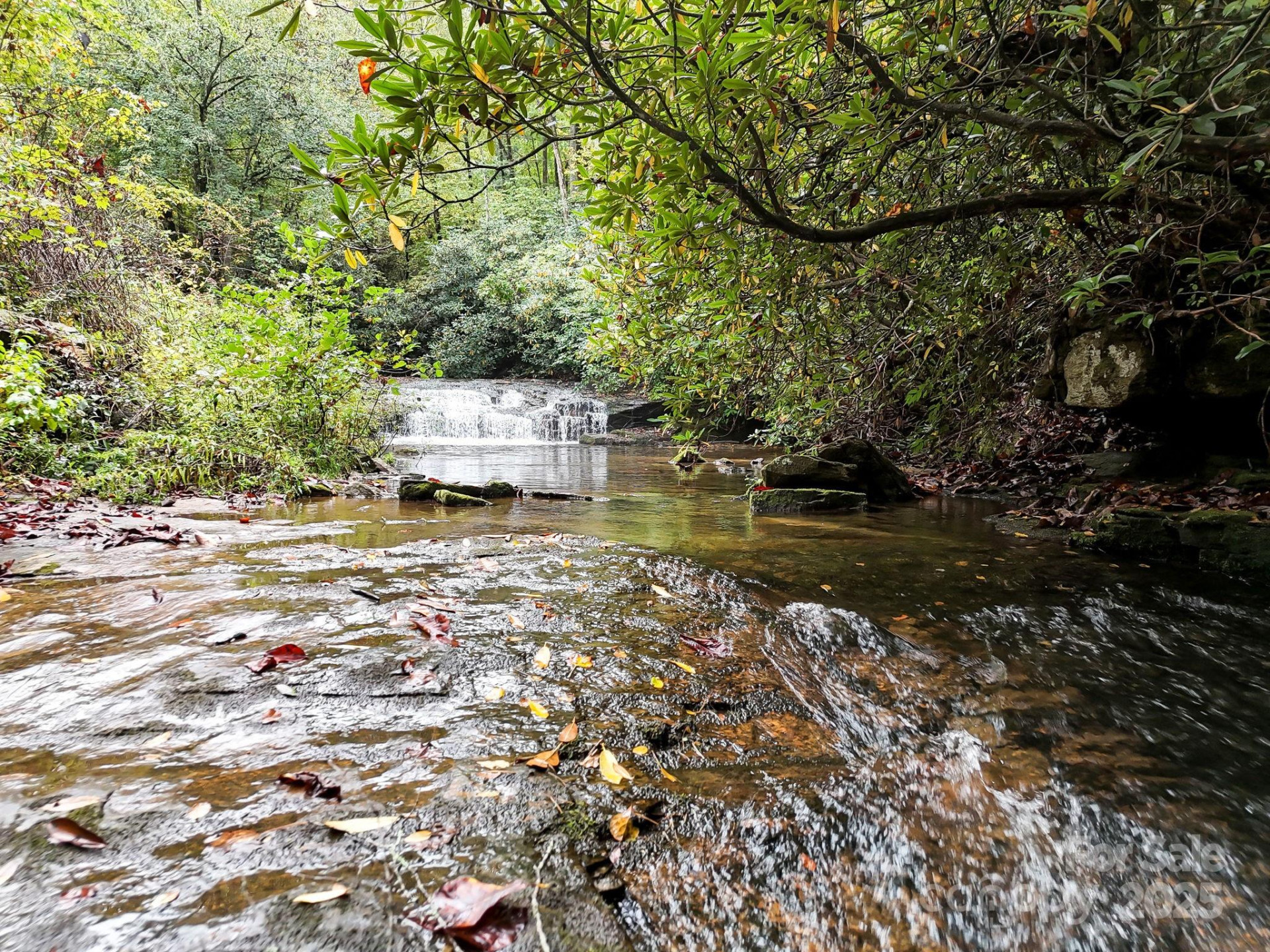 800 Williamson Creek Road - Photo 44