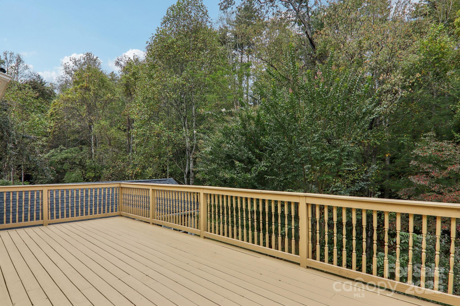 137 Last Resort Terrace - Photo 26
