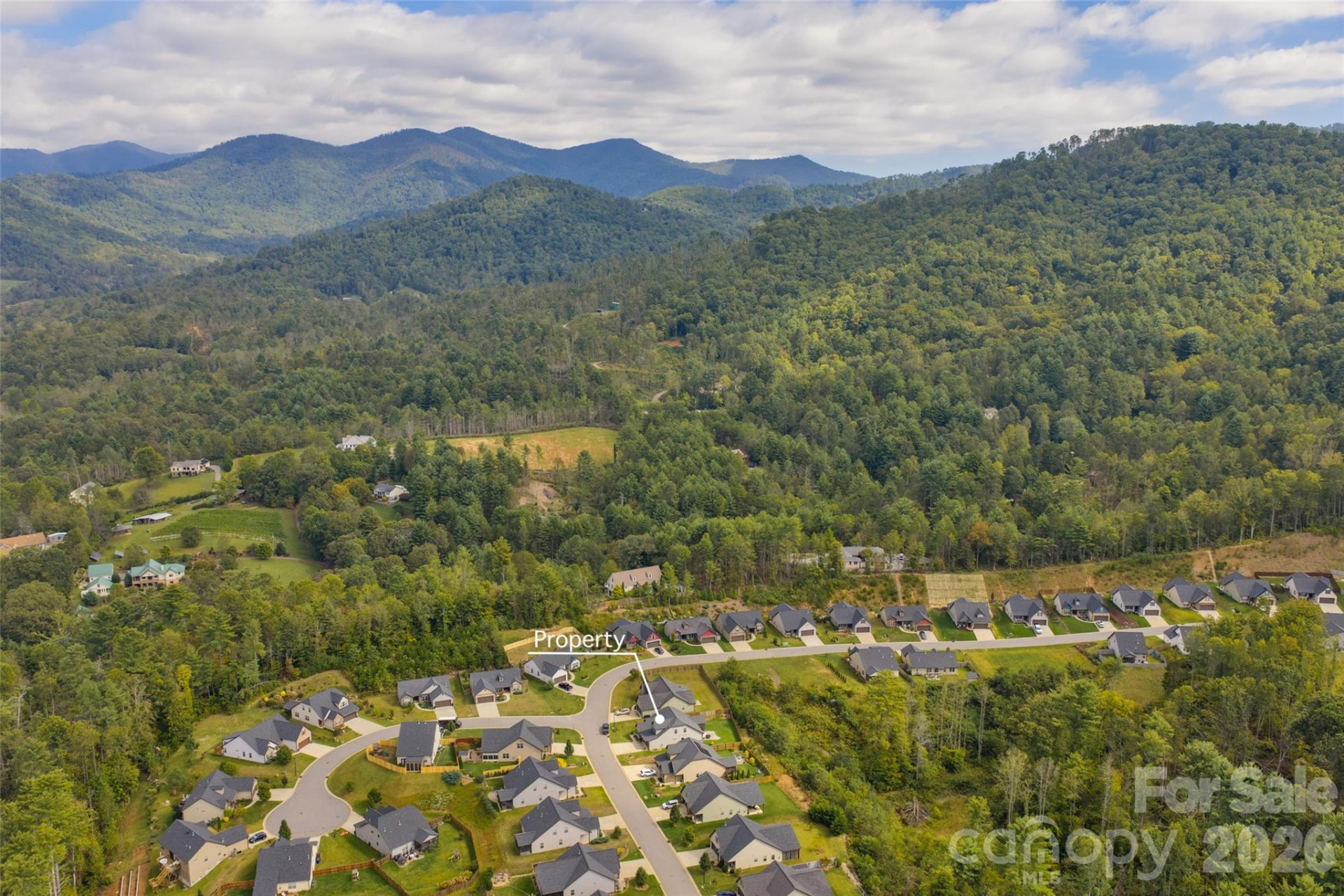 190 Water Leaf Drive - Photo 42