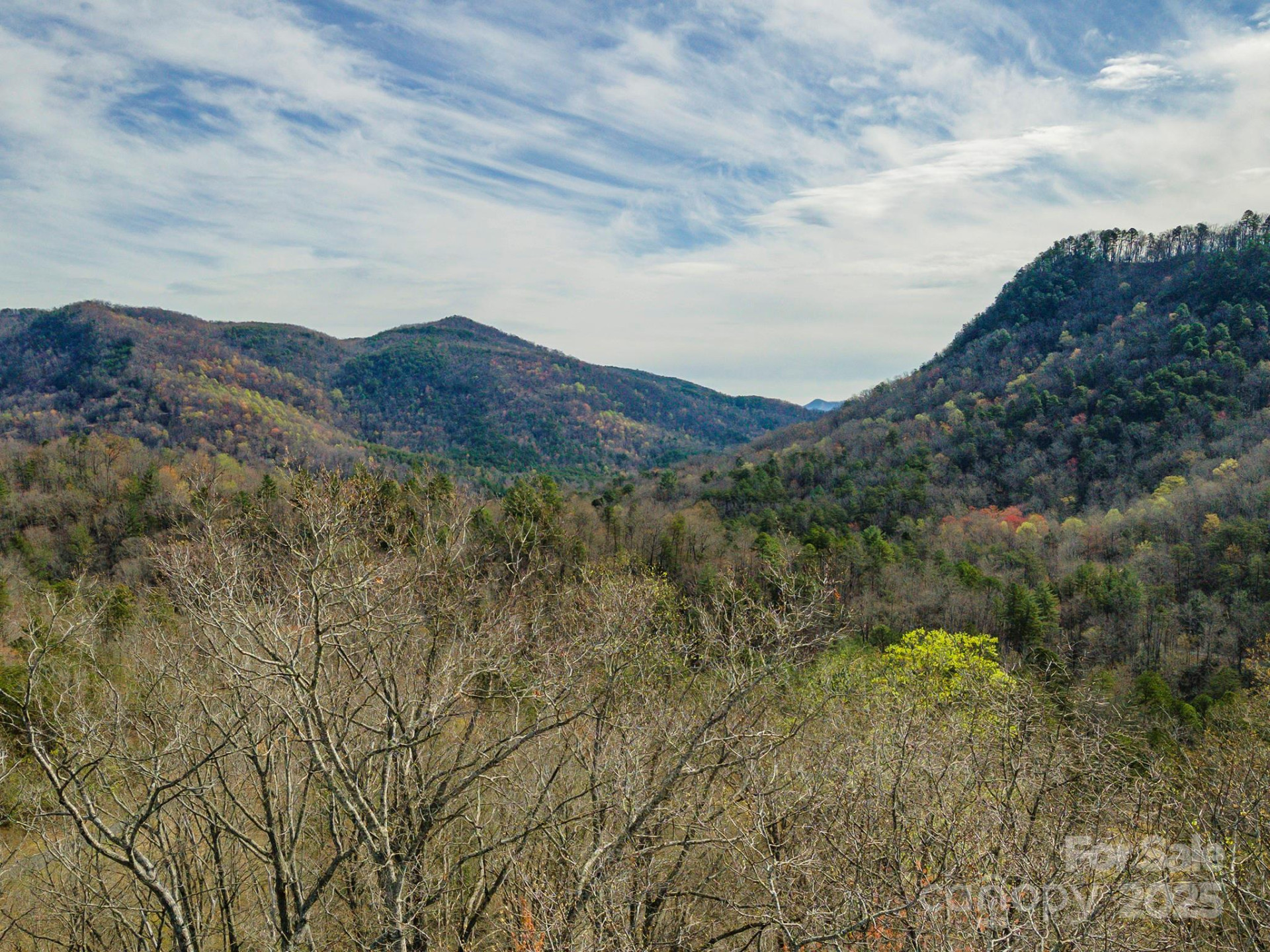 99999 Trillium Lane #7 - Photo 2