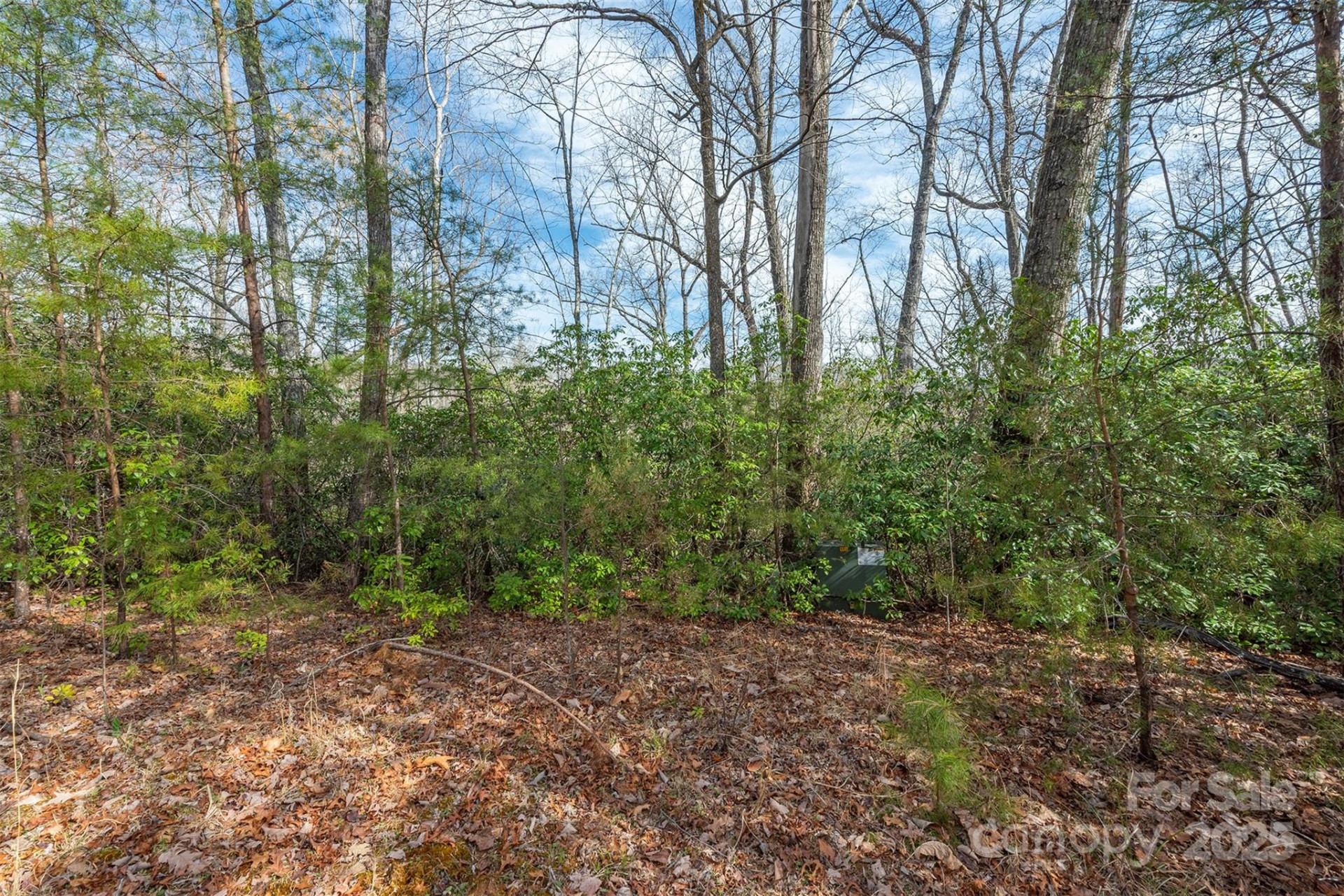 99999 Trillium Lane #7 - Photo 11