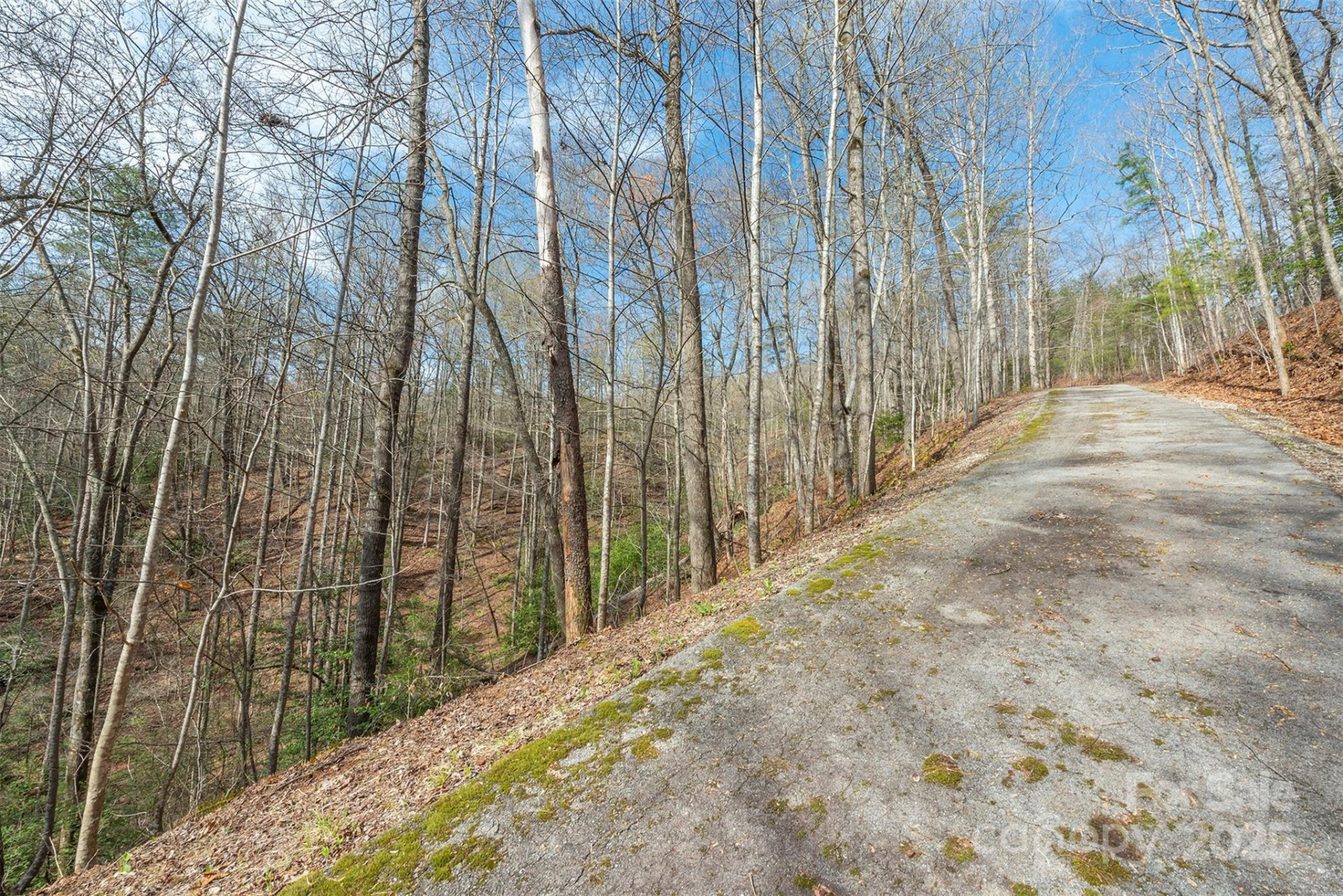 99999 Trillium Lane #7 - Photo 12