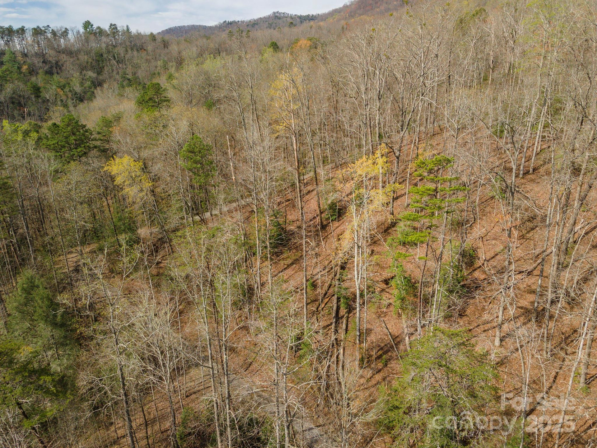 99999 Trillium Lane #7 - Photo 14