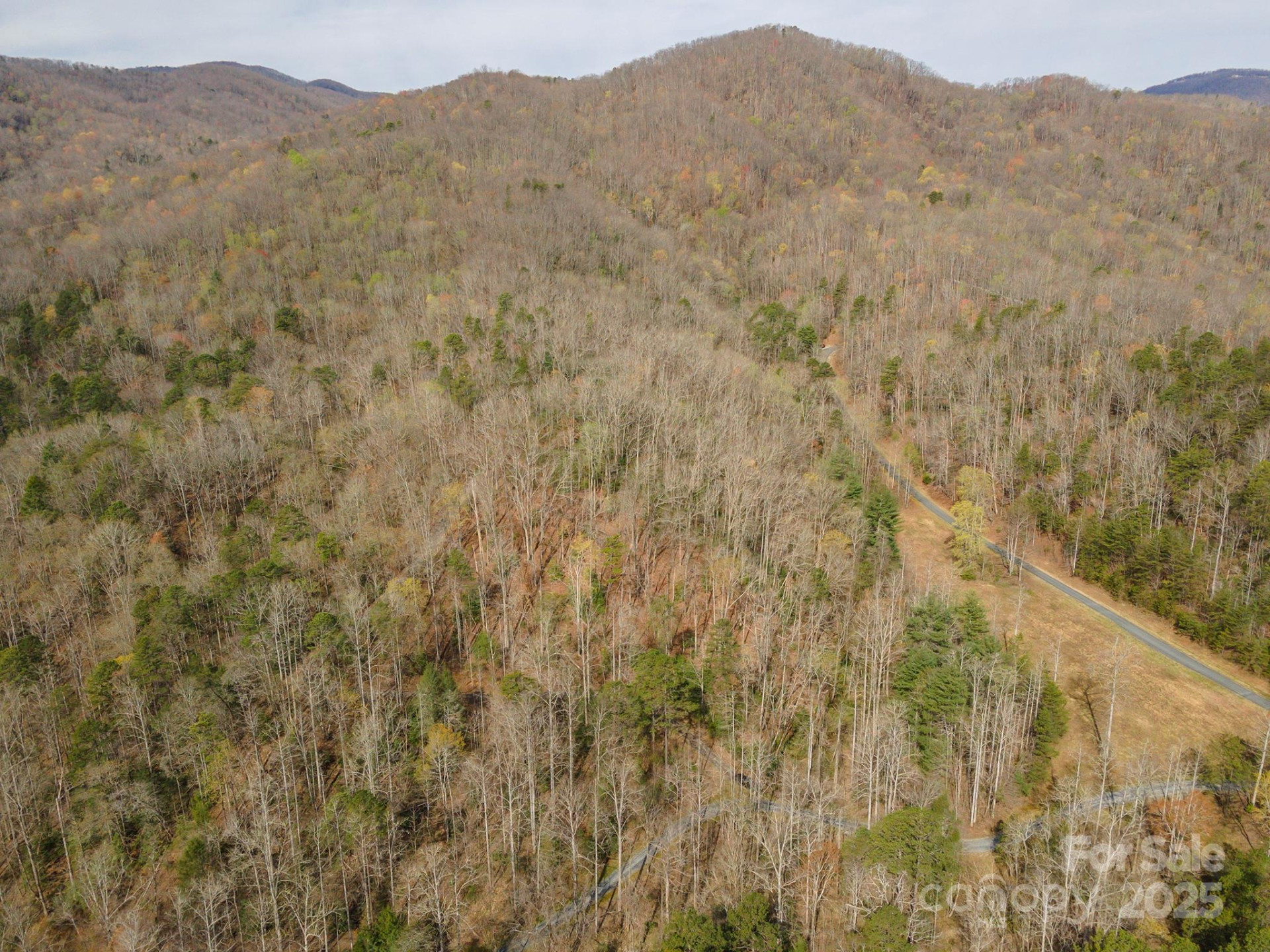 99999 Trillium Lane #7 - Photo 15