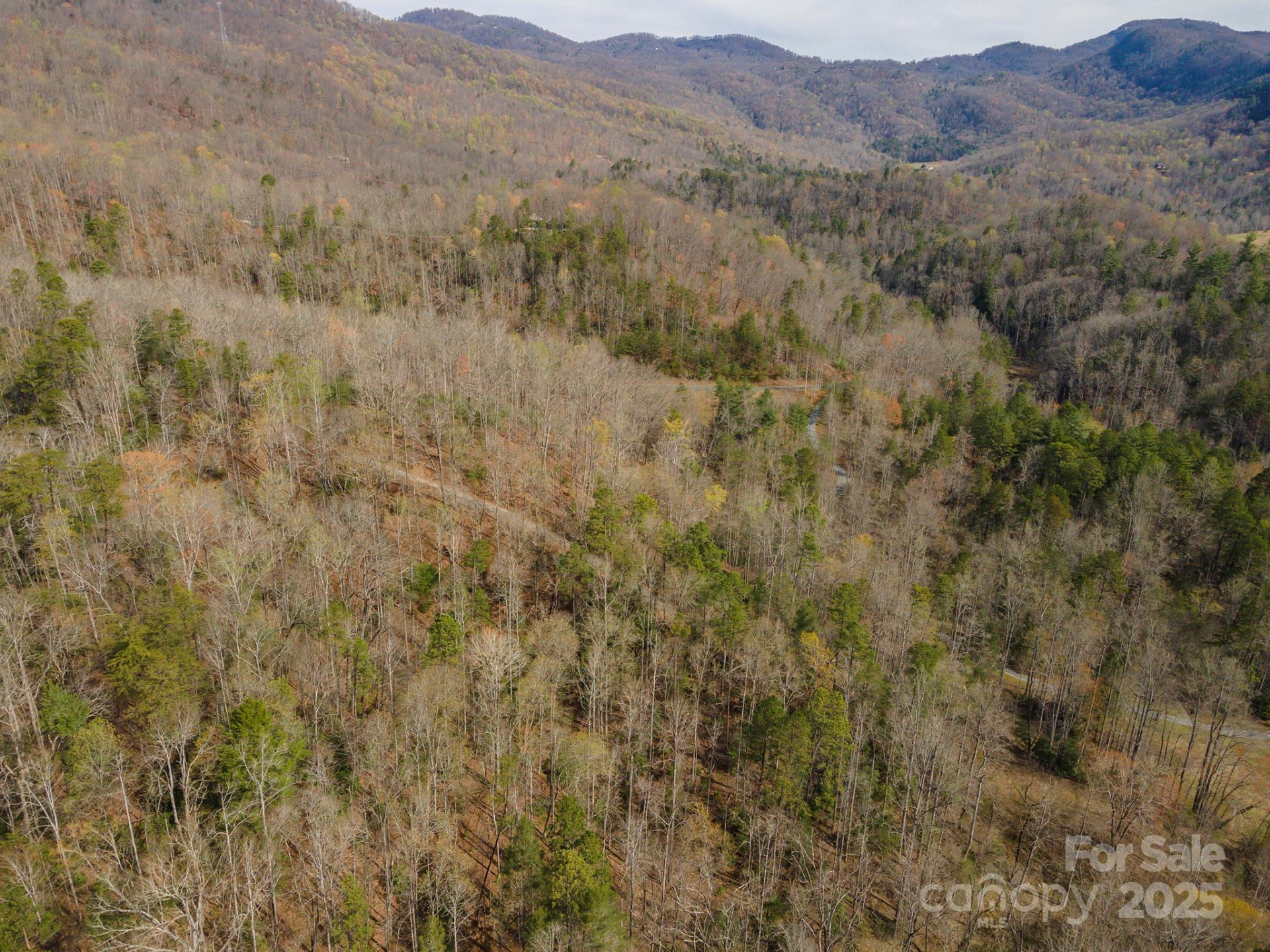 99999 Trillium Lane #7 - Photo 16