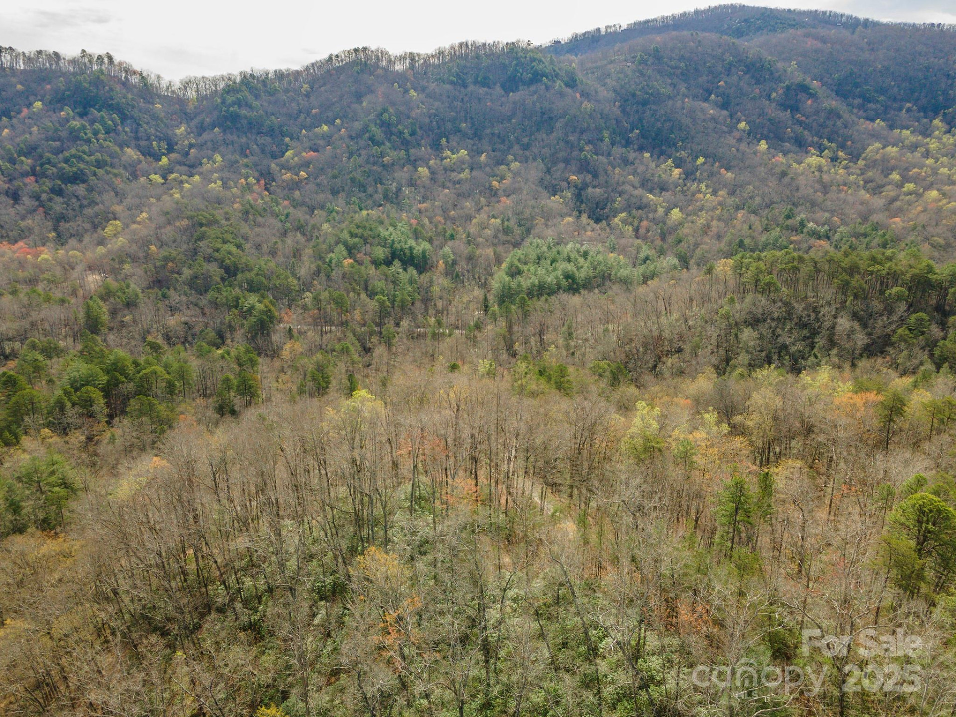 99999 Trillium Lane #7 - Photo 19