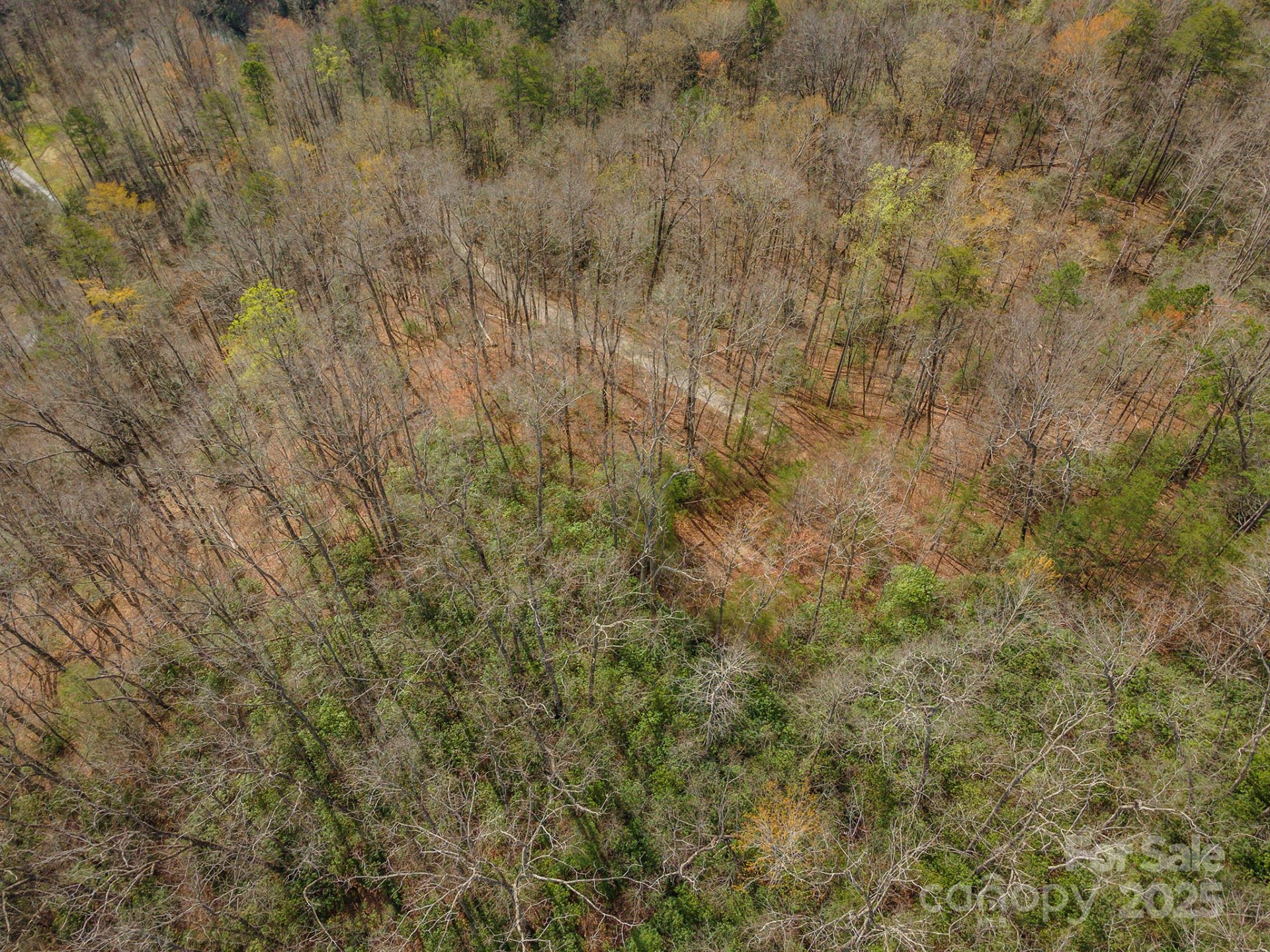 99999 Trillium Lane #7 - Photo 20