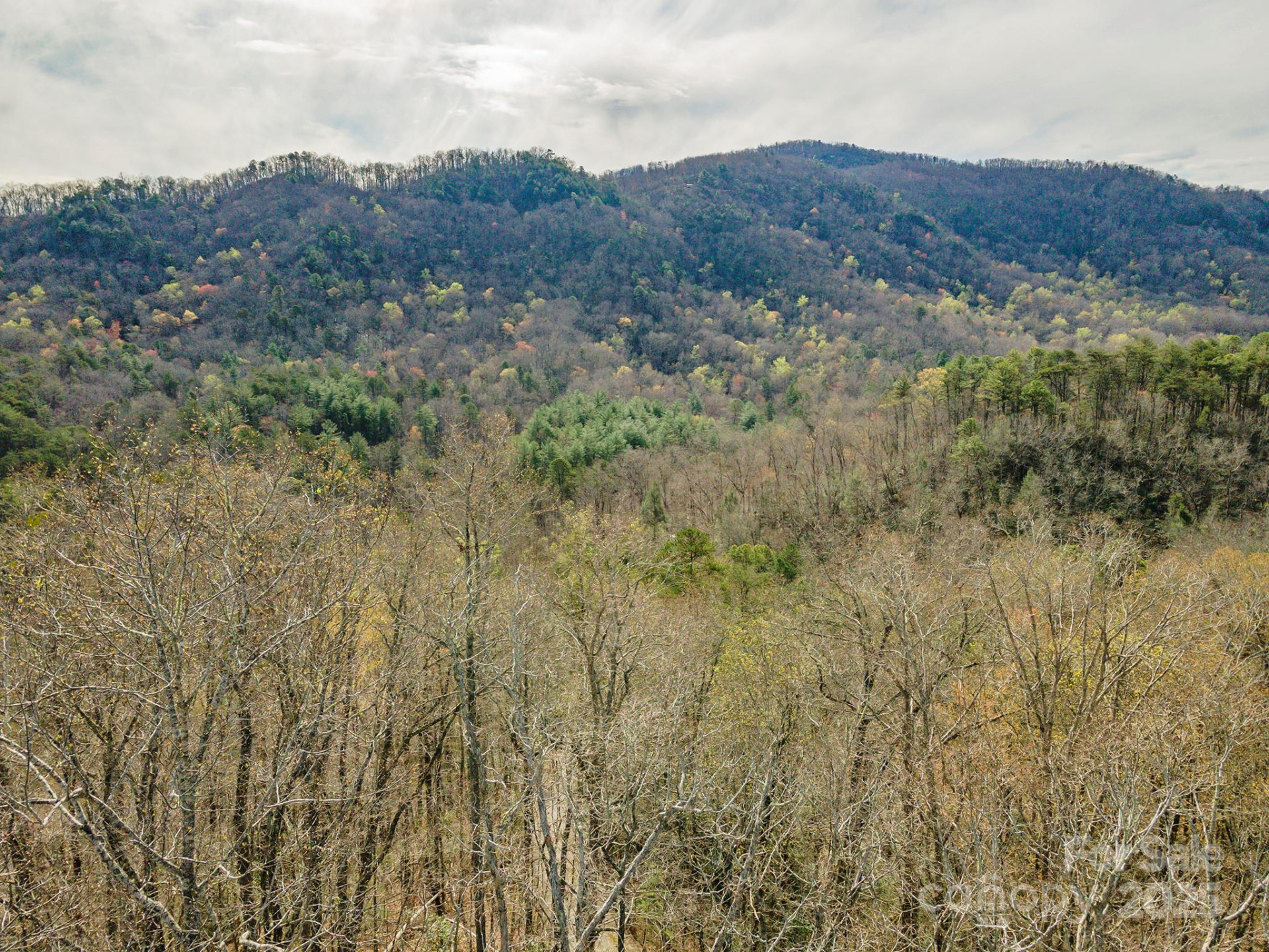 99999 Trillium Lane #7 - Photo 3