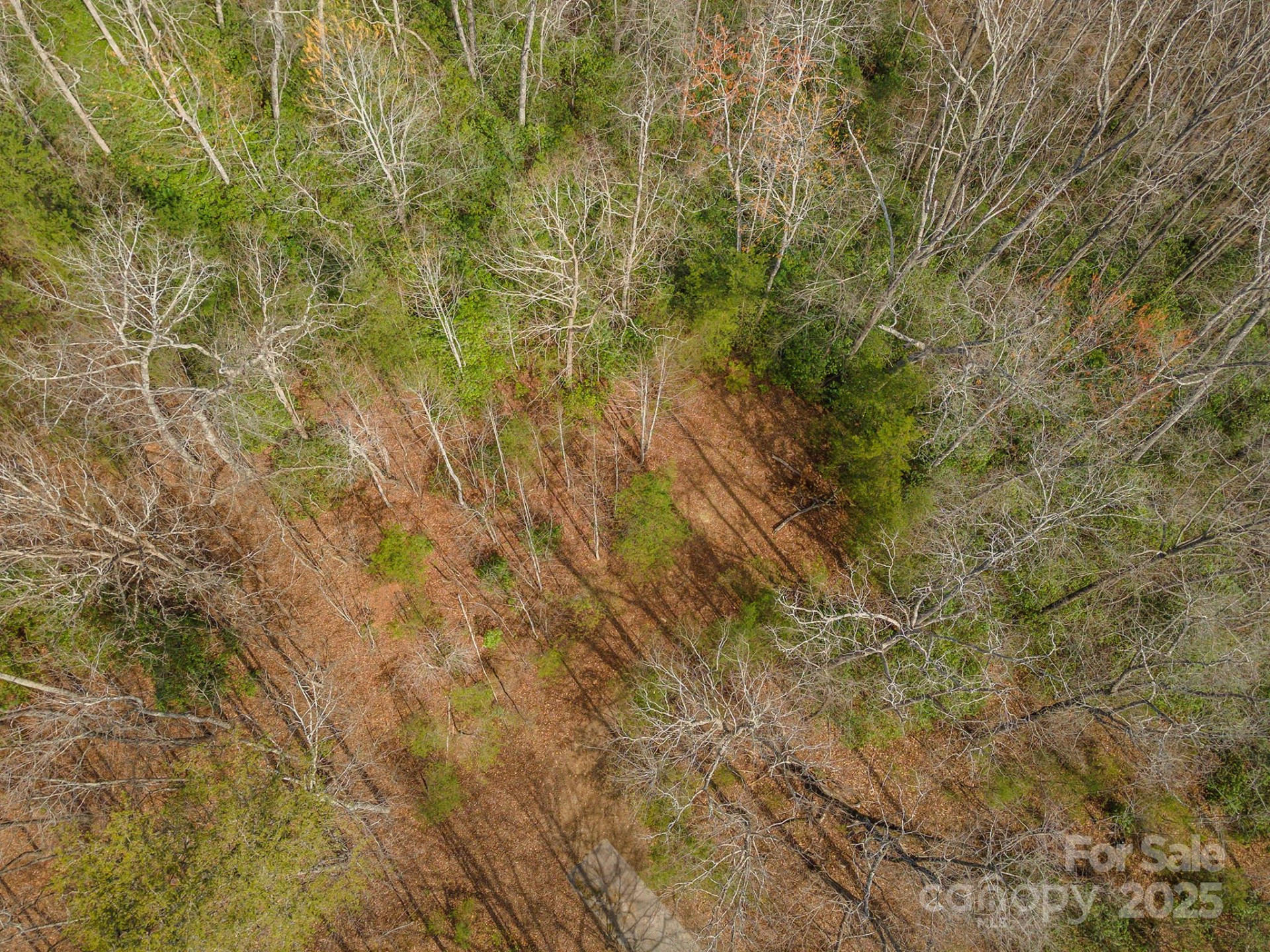 99999 Trillium Lane #7 - Photo 22