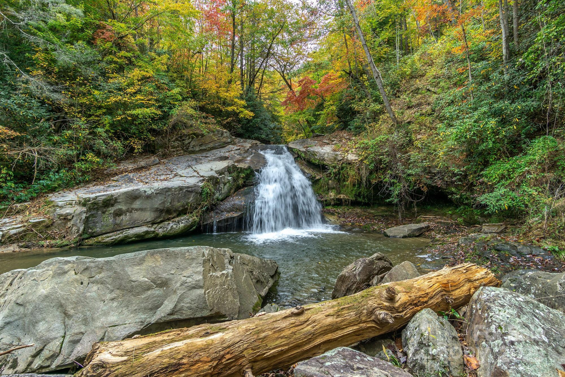 99999 Trillium Lane #7 - Photo 24