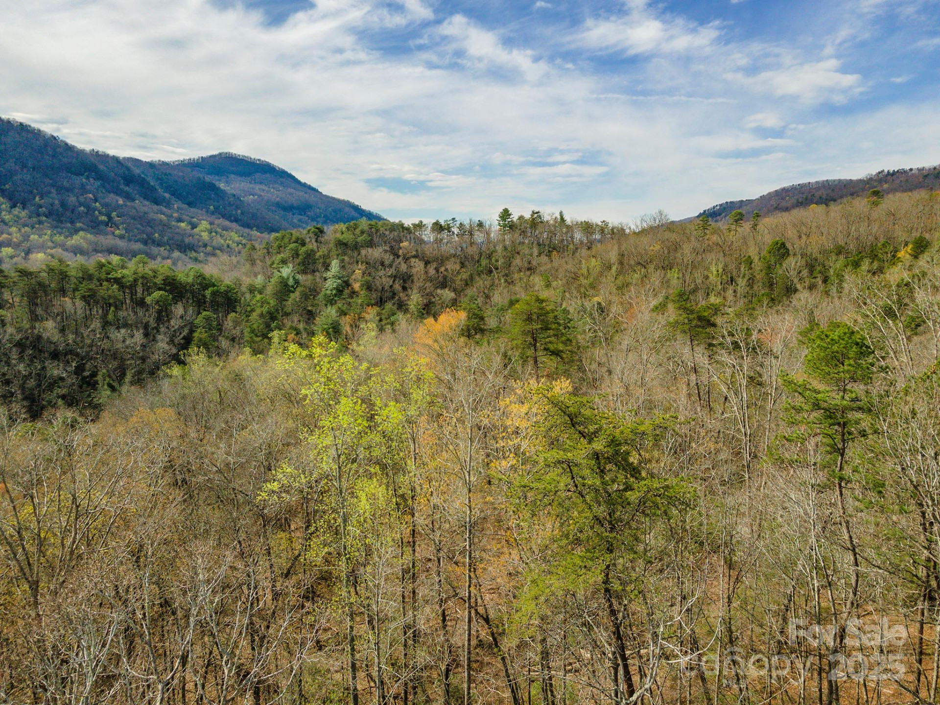 99999 Trillium Lane #7 - Photo 4