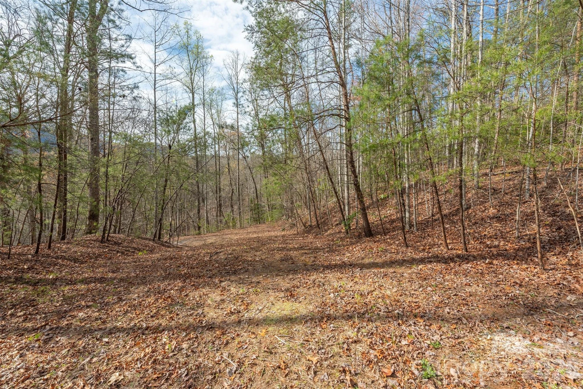 99999 Trillium Lane #7 - Photo 7