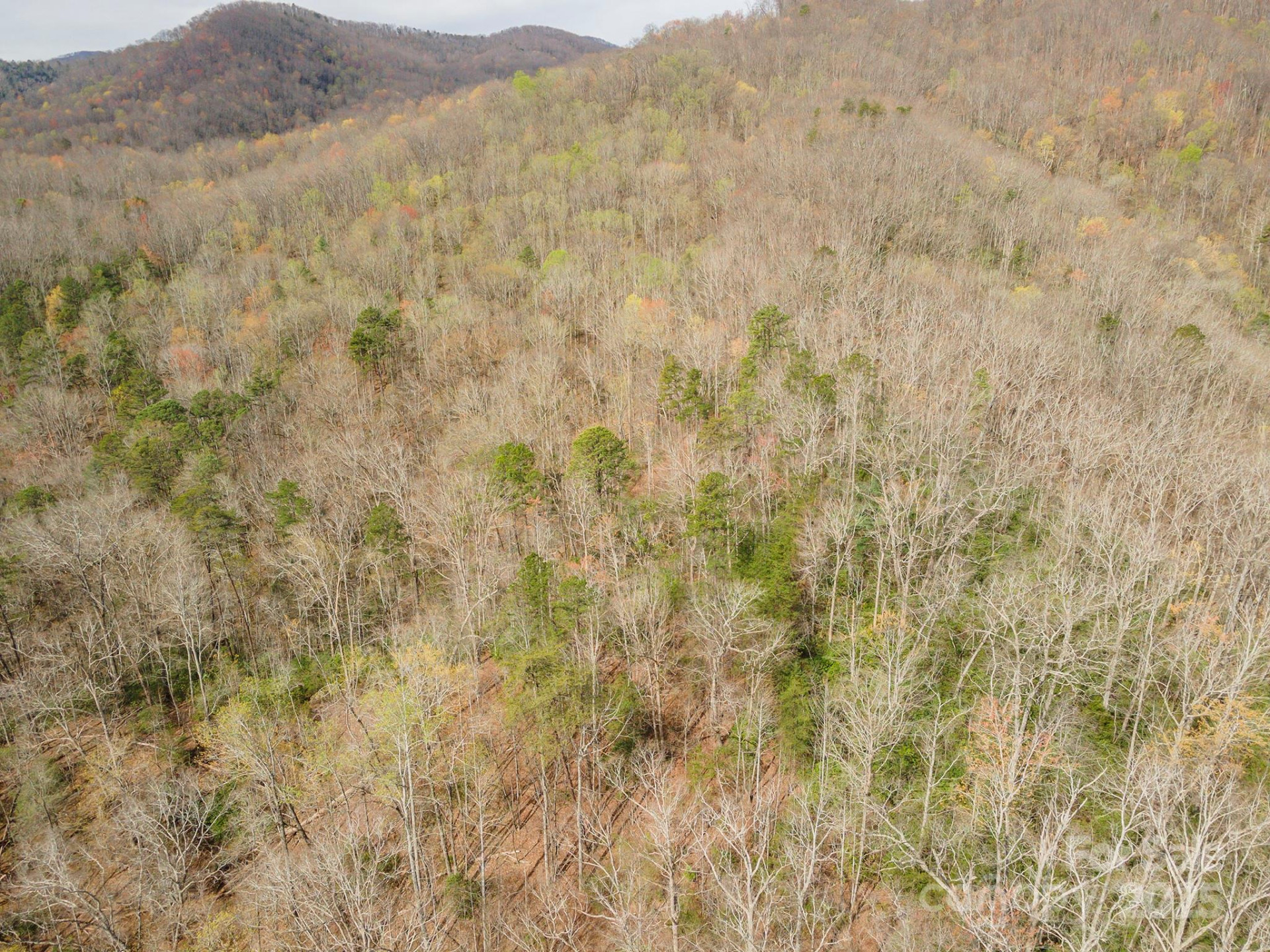 99999 Trillium Lane #7 - Photo 5