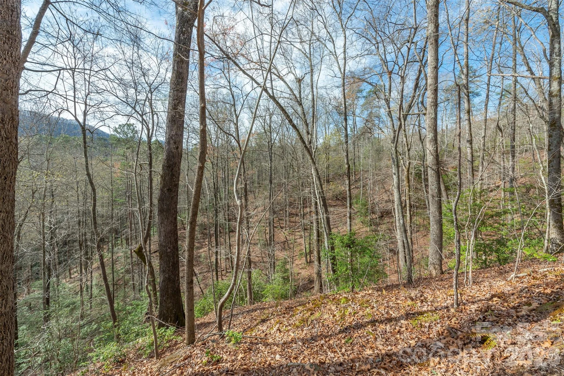 99999 Trillium Lane #7 - Photo 9