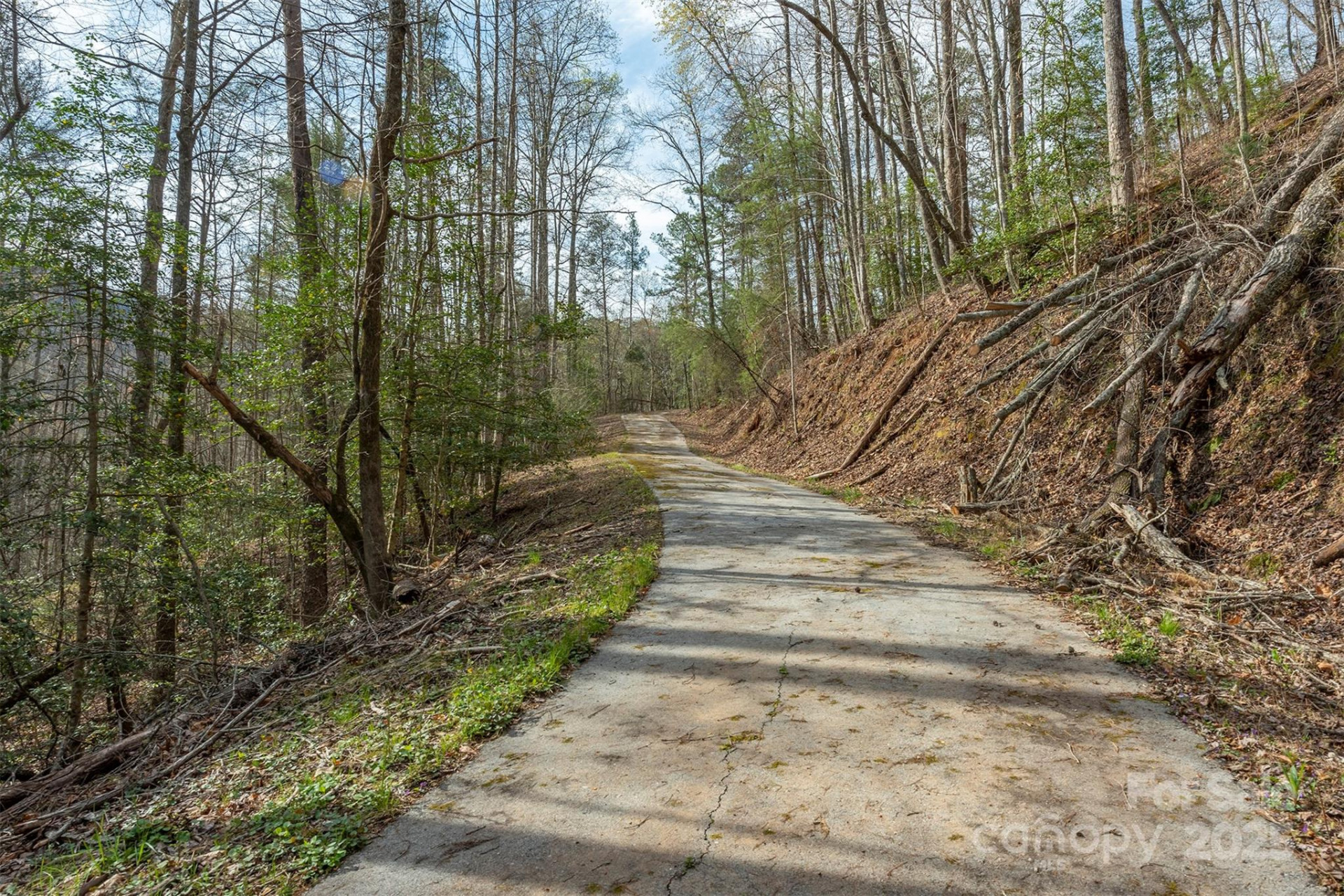 99999 Trillium Lane #7 - Photo 6