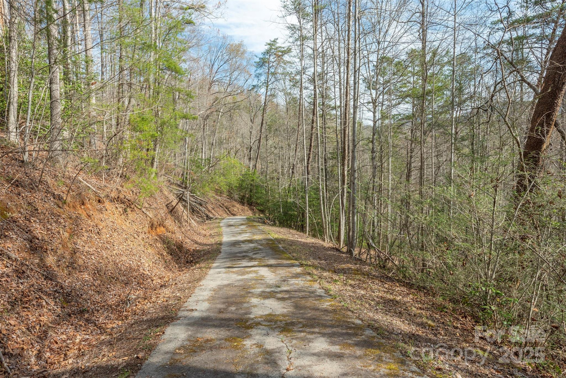 99999 Trillium Lane #7 - Photo 7