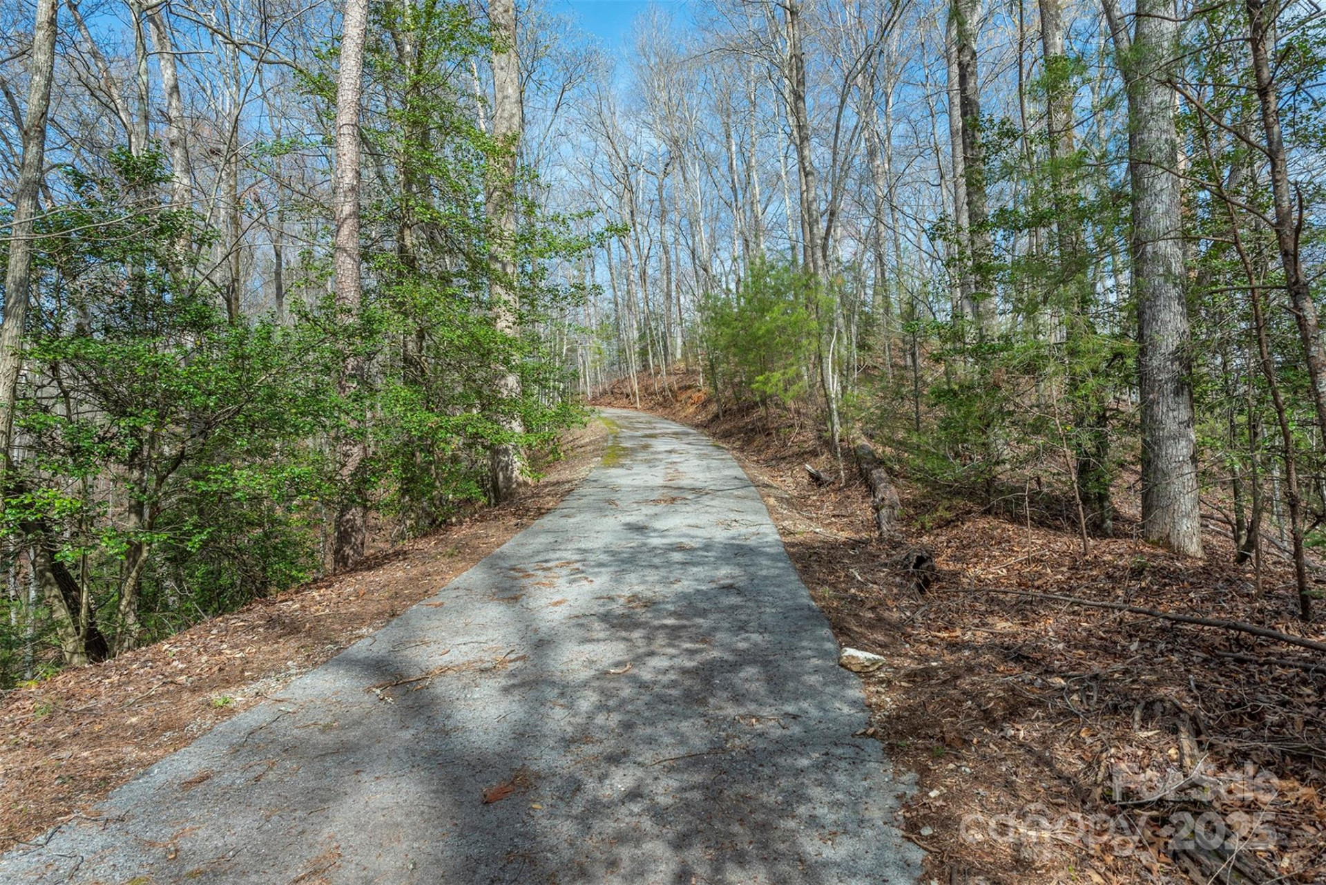 99999 Trillium Lane #7 - Photo 8