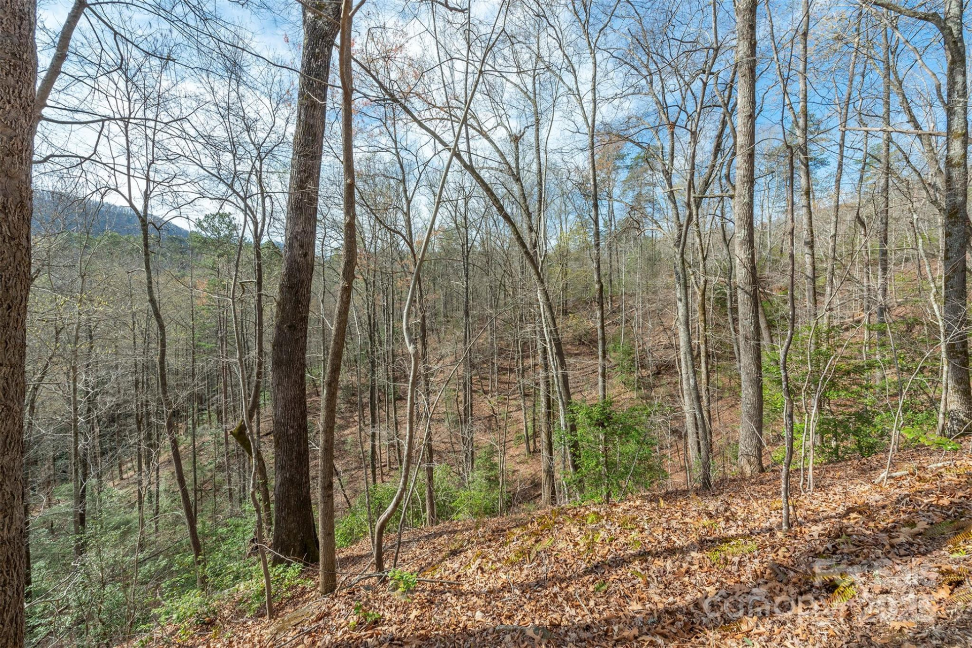 99999 Trillium Lane #7 - Photo 9