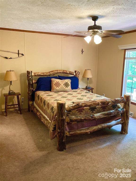 361 Boundary Trail - Photo 17