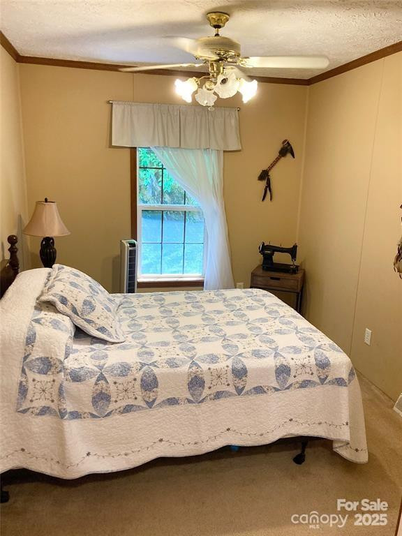 361 Boundary Trail - Photo 23