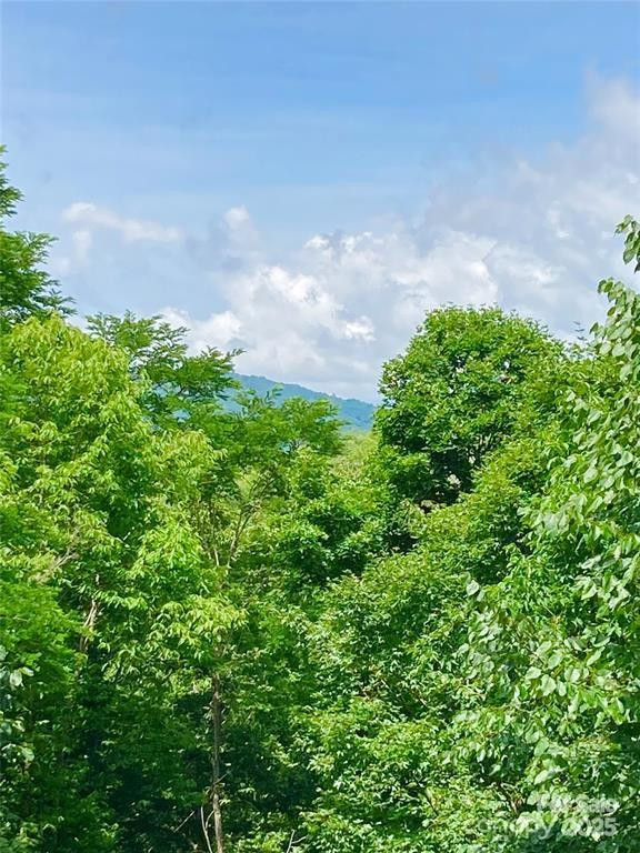 361 Boundary Trail - Photo 4